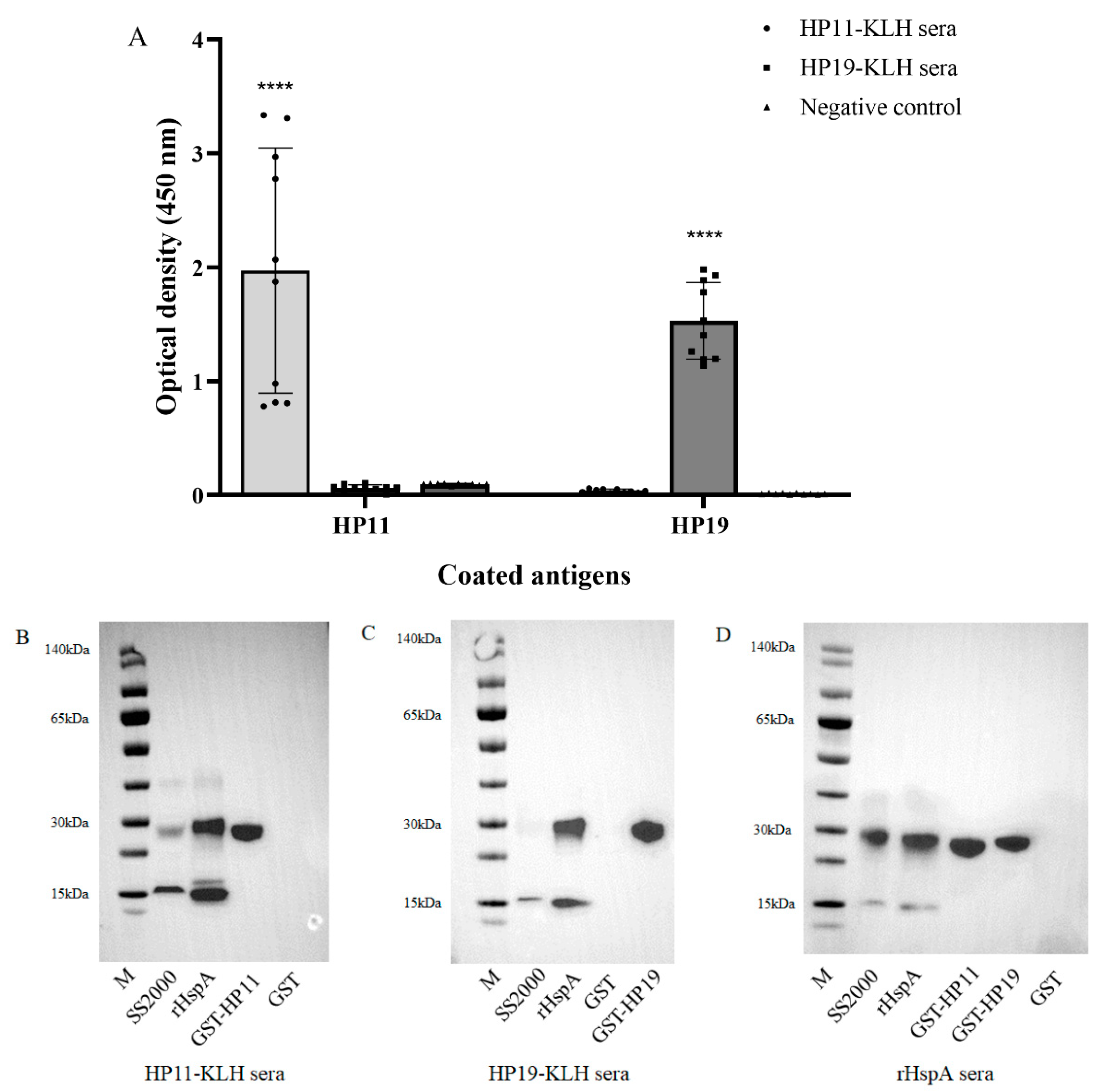 Vaccines 10 00065 g003 Vaccines 10 00065 g003