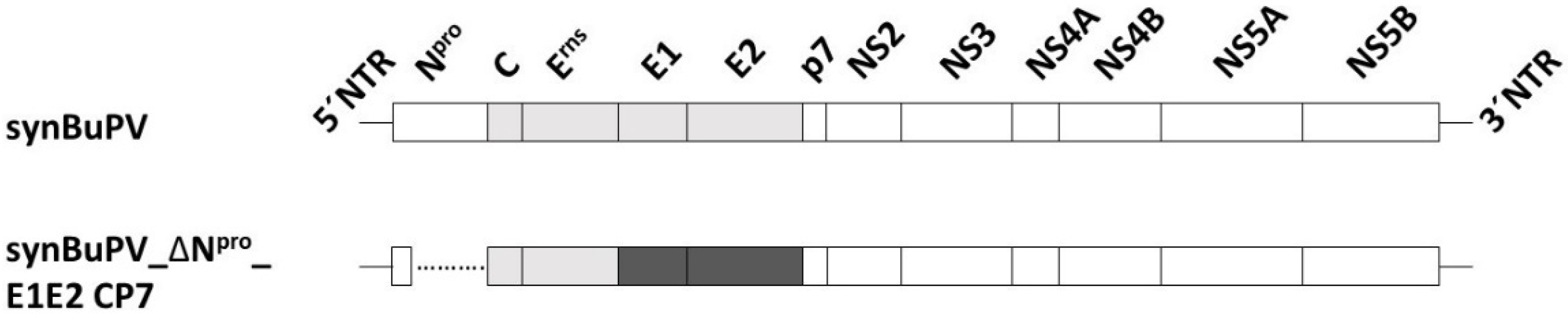 Vaccines 10 00088 g001