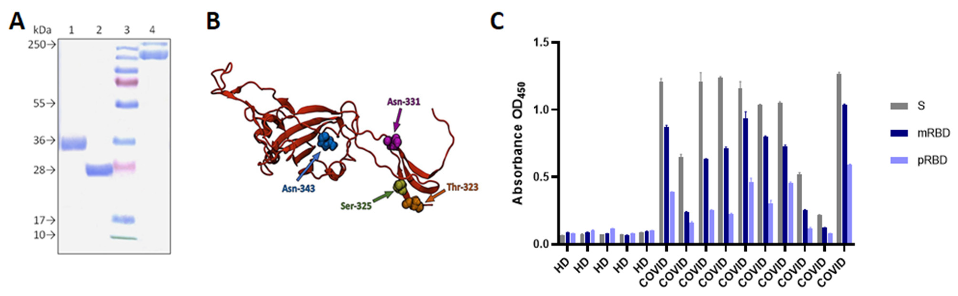Vaccines 10 00096 g001 550