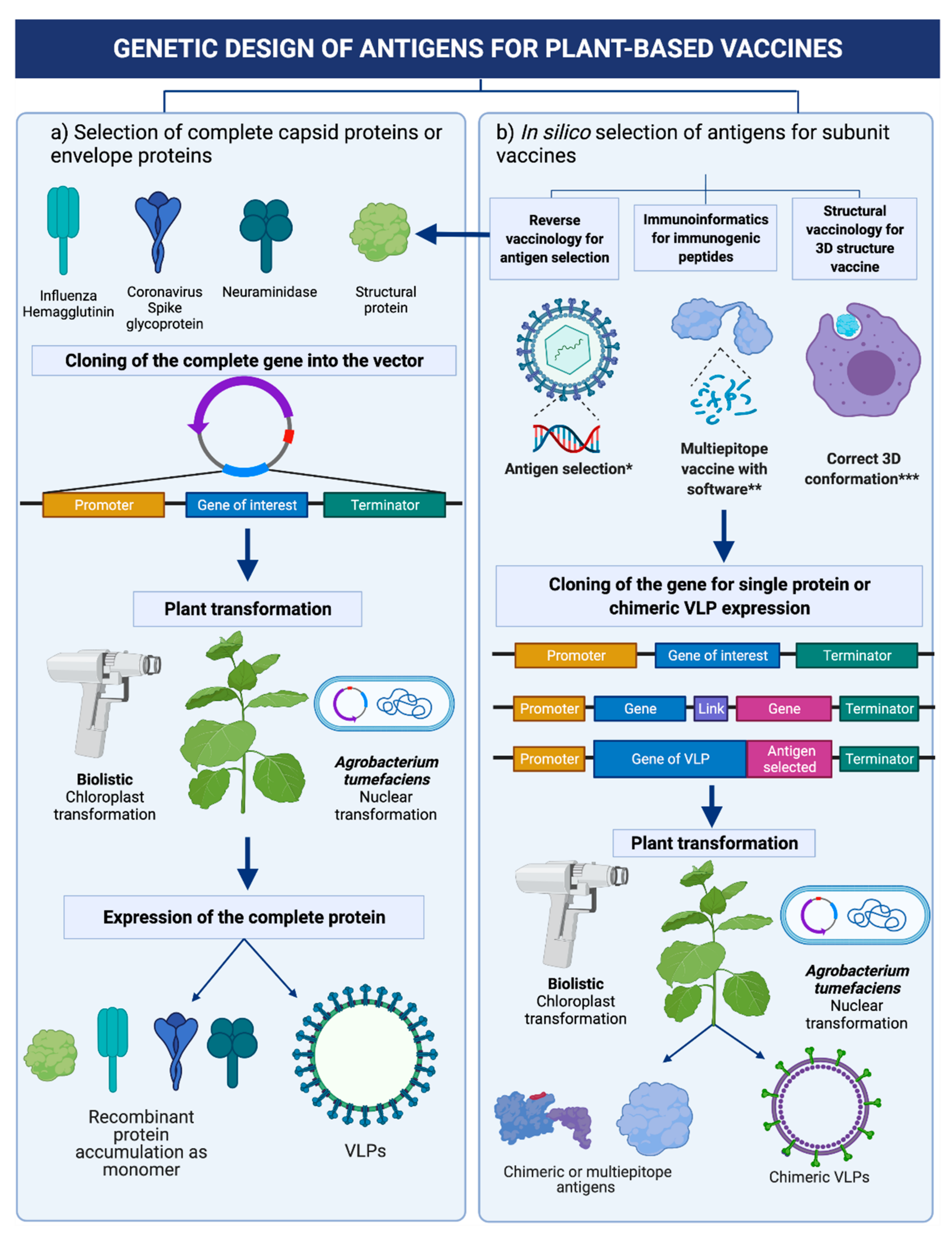 Vaccines 10 00100 g001