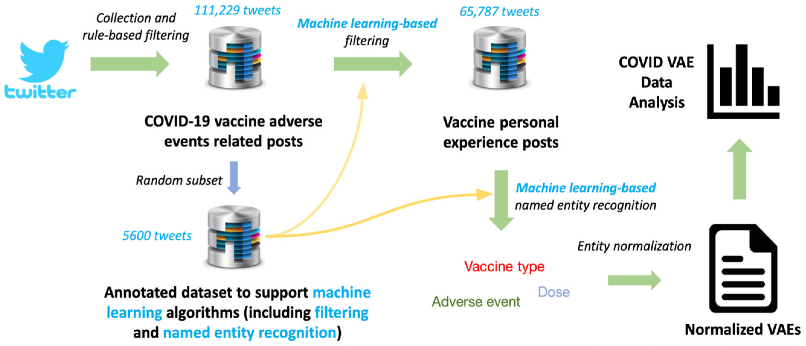 Vaccines 10 00103 g001 550