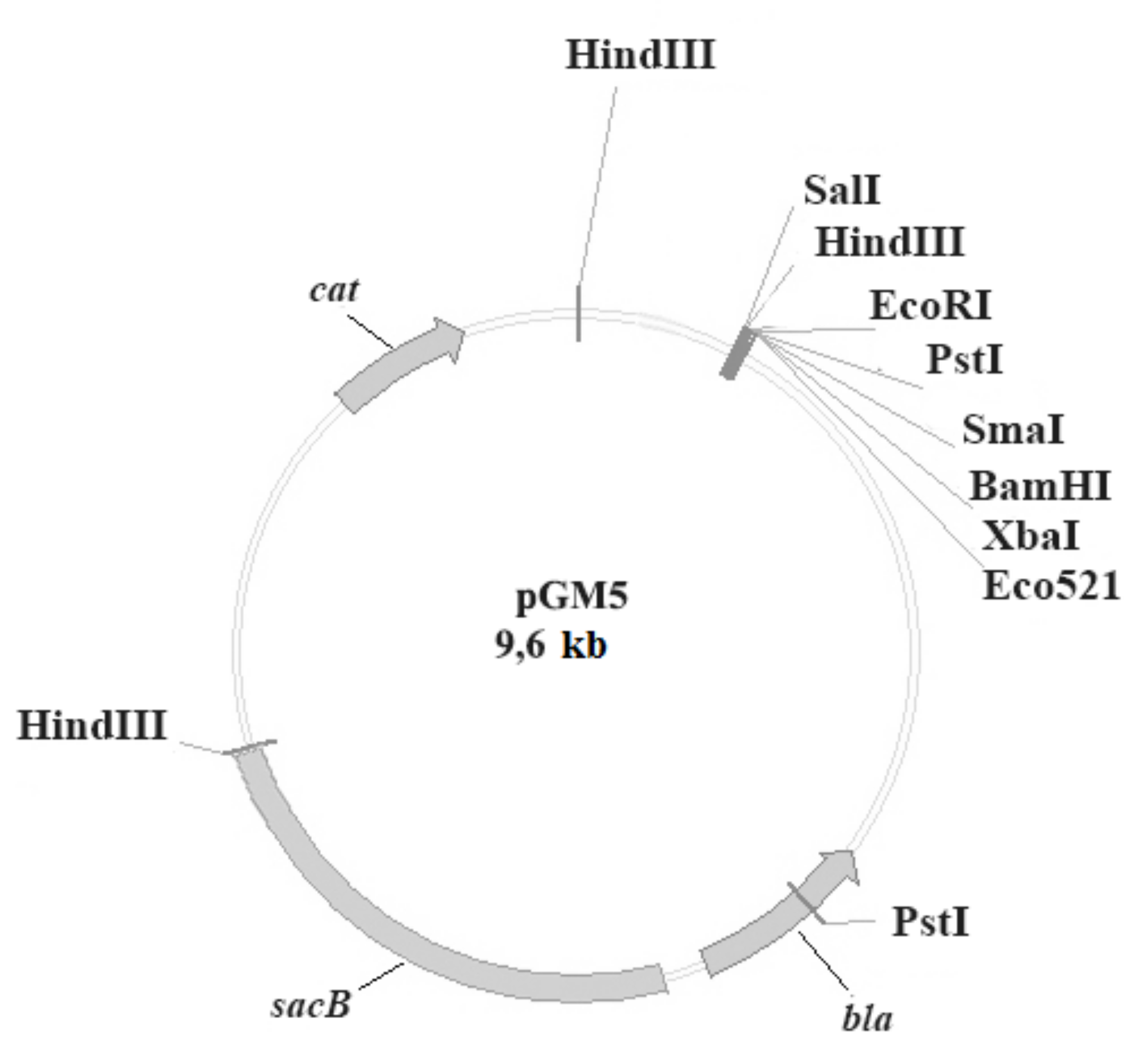 Vaccines 10 00108 g001 Vaccines 10 00108 g001