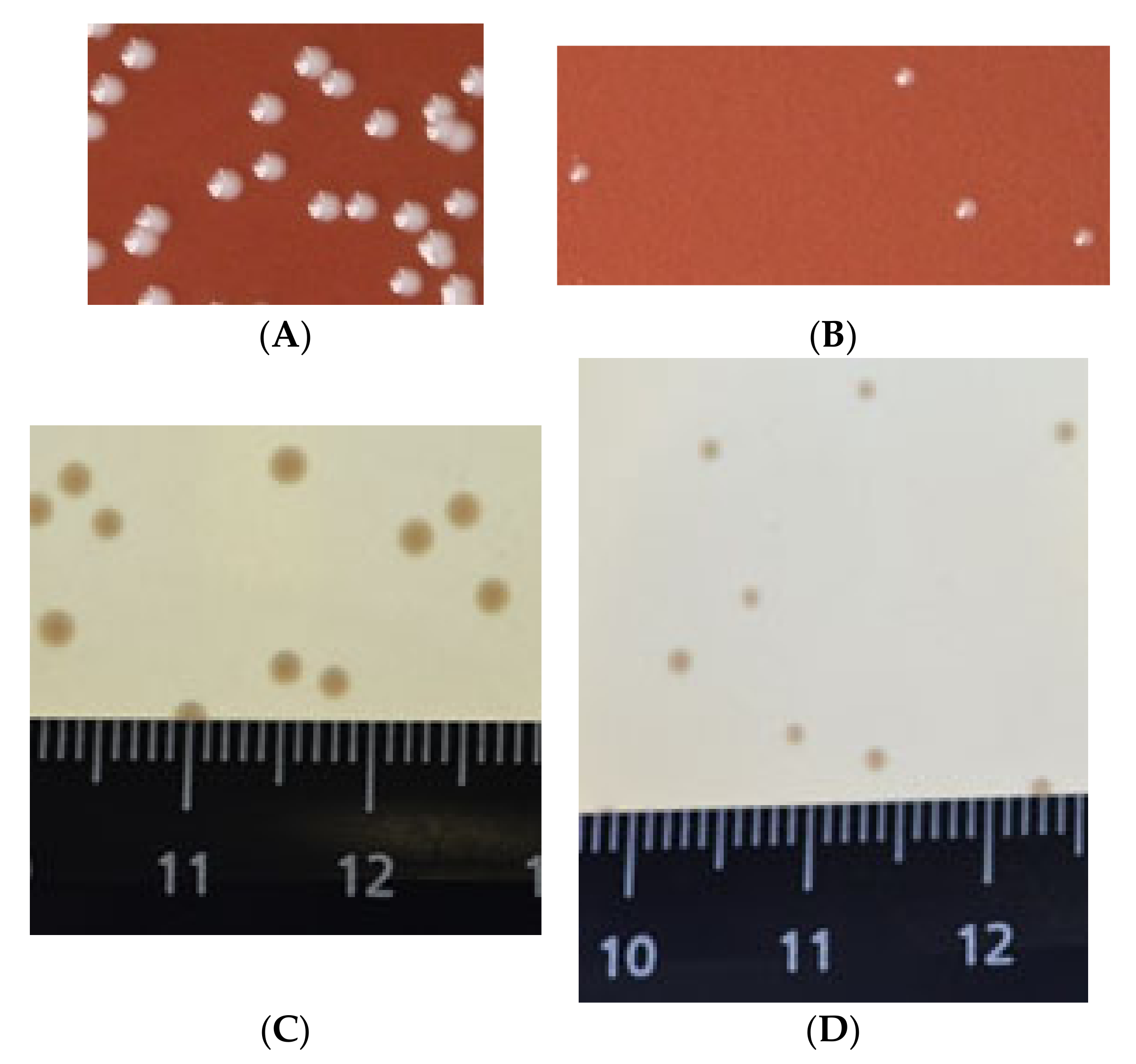 Vaccines 10 00108 g003 Vaccines 10 00108 g003