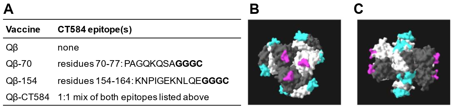 Vaccines 10 00111 g001 550