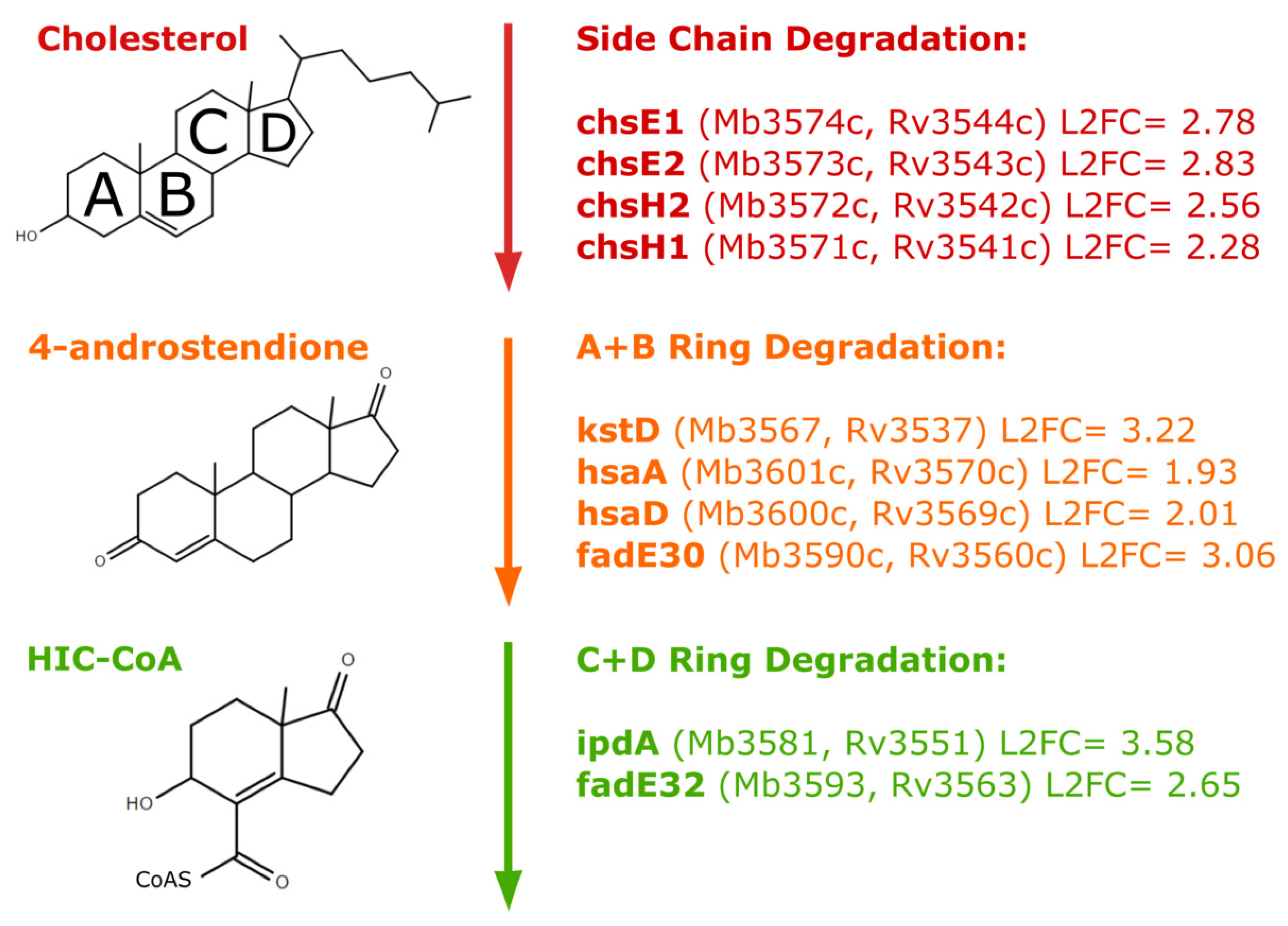 Vaccines 10 00113 g003 550