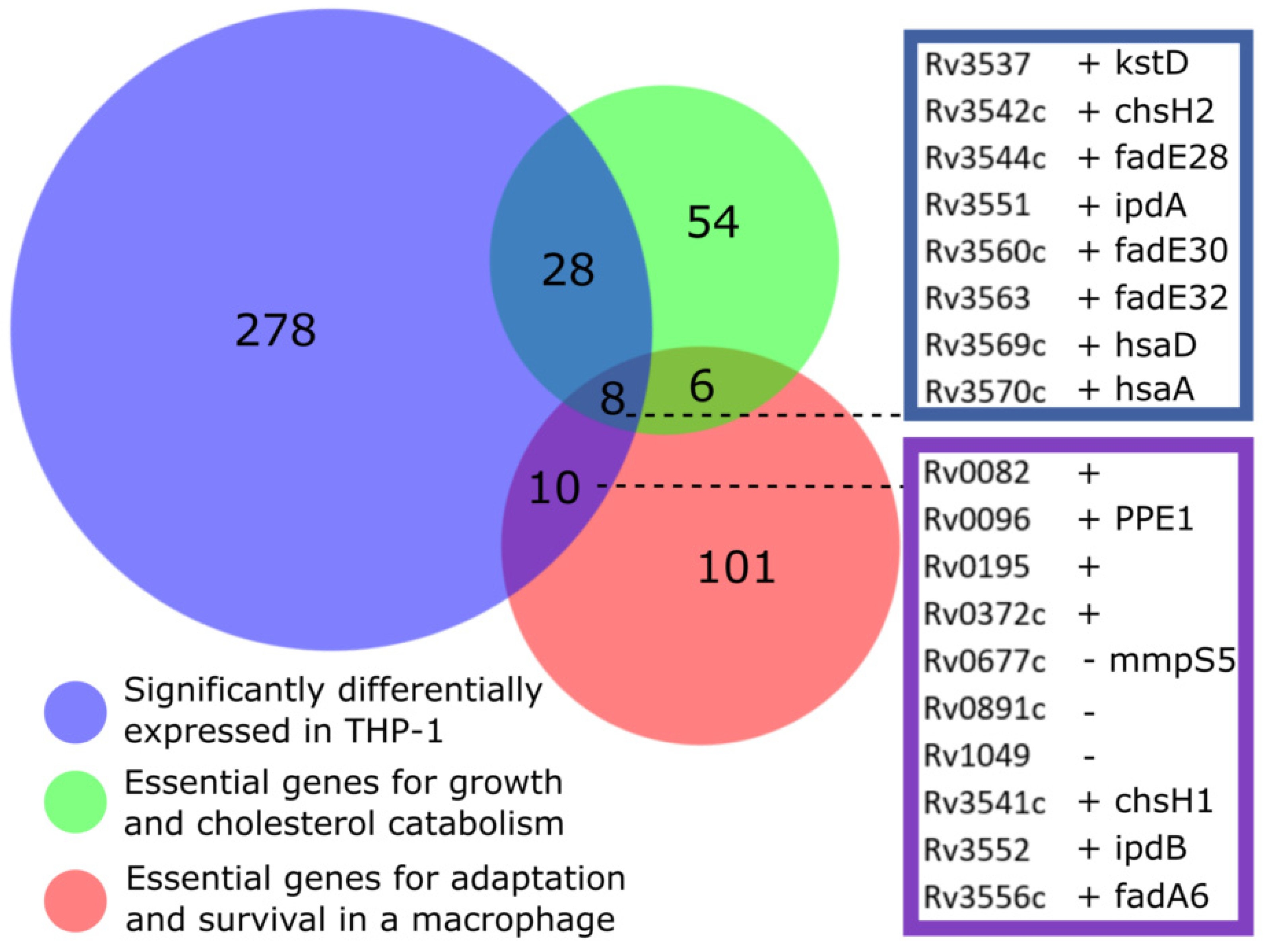 Vaccines 10 00113 g005 550
