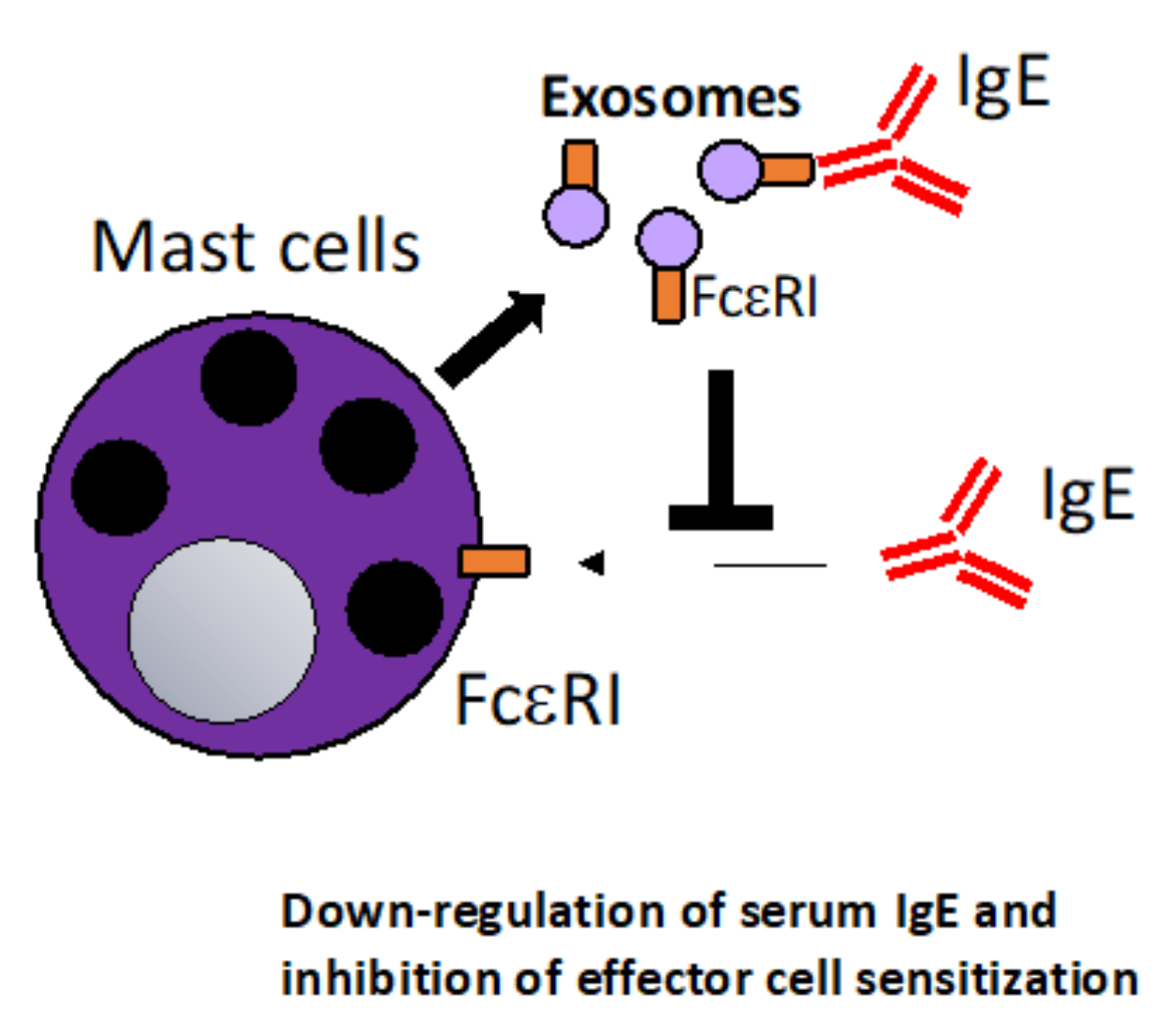 Vaccines 10 00133 g002 550