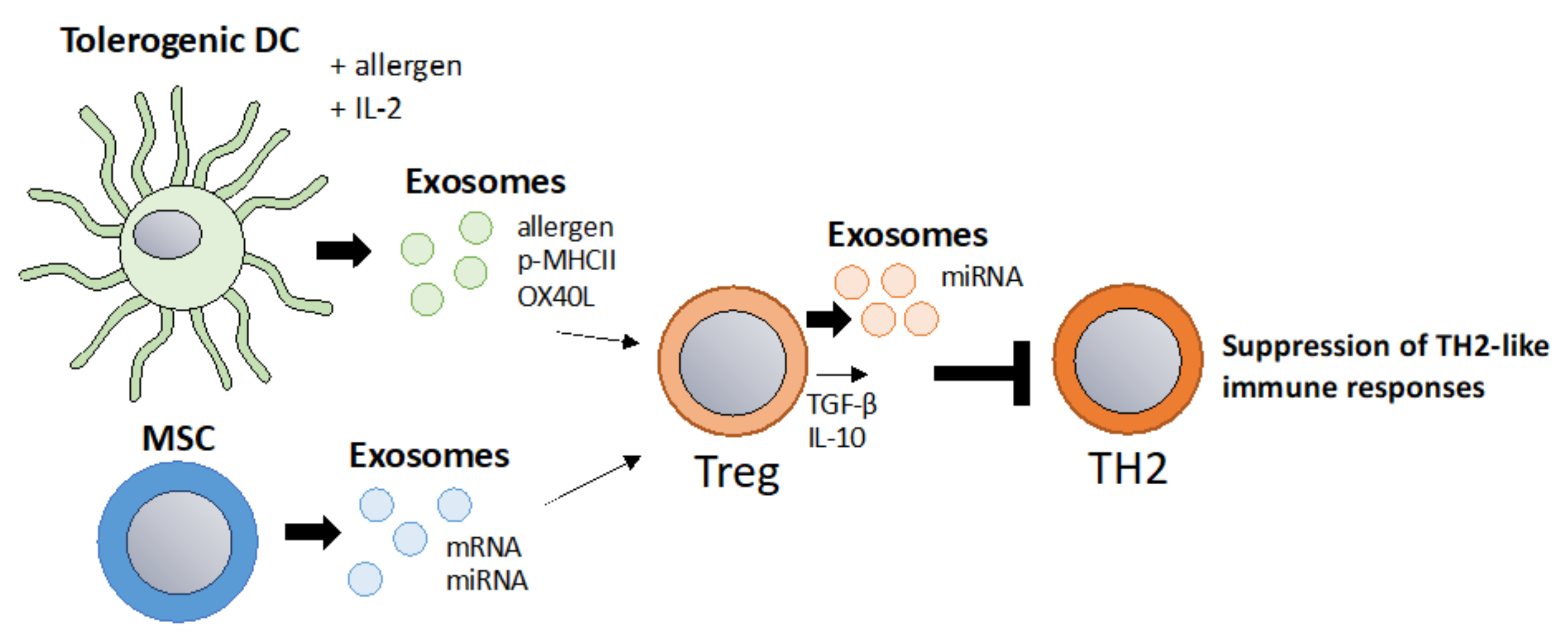Vaccines 10 00133 g003 550