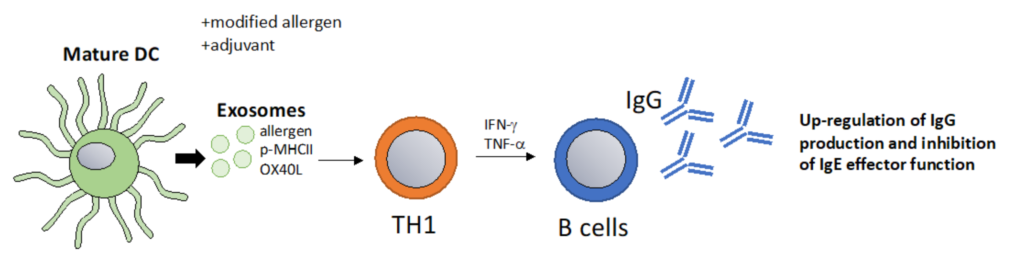 Vaccines 10 00133 g004 550