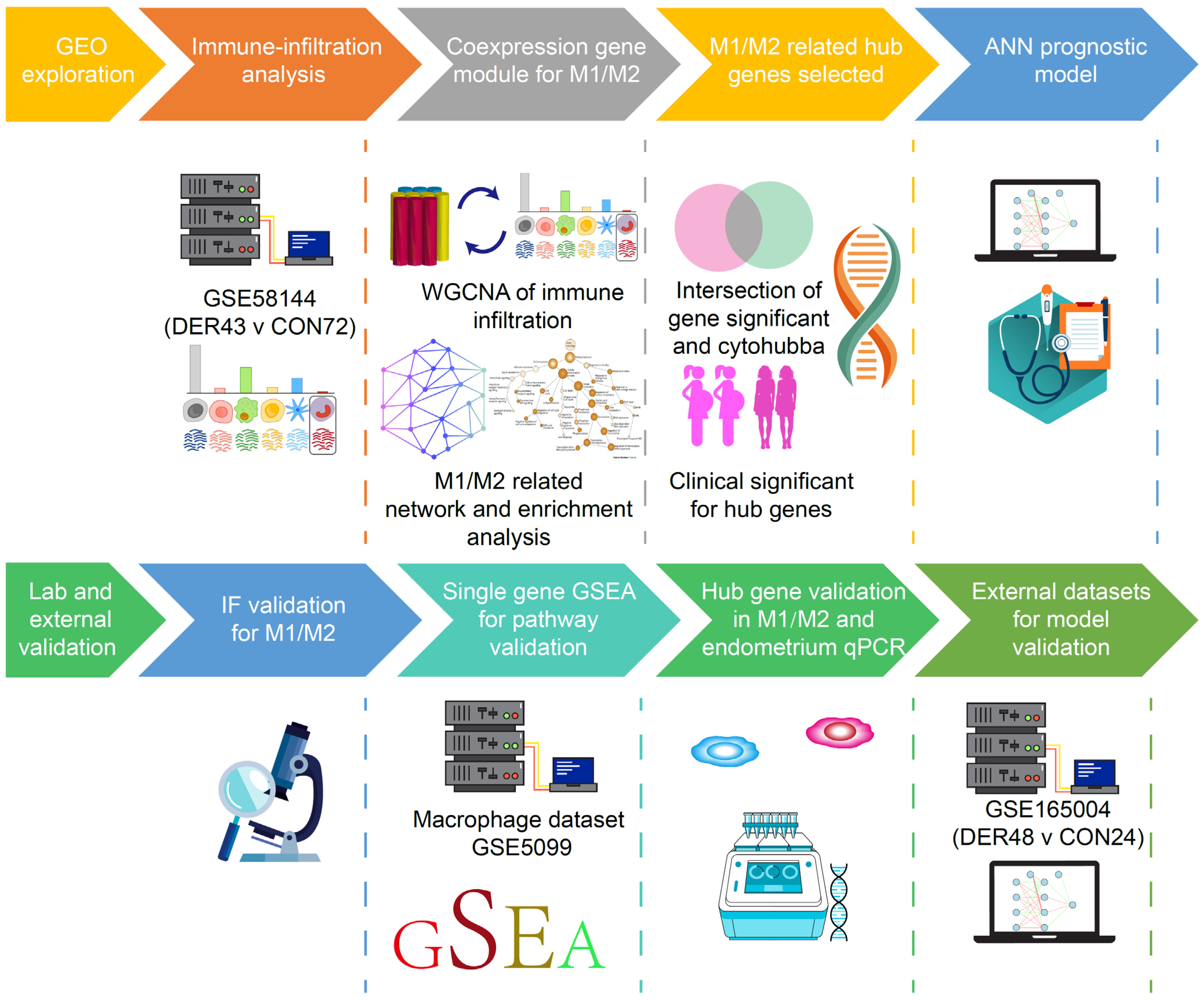 Vaccines 10 00139 g001 Vaccines 10 00139 g001