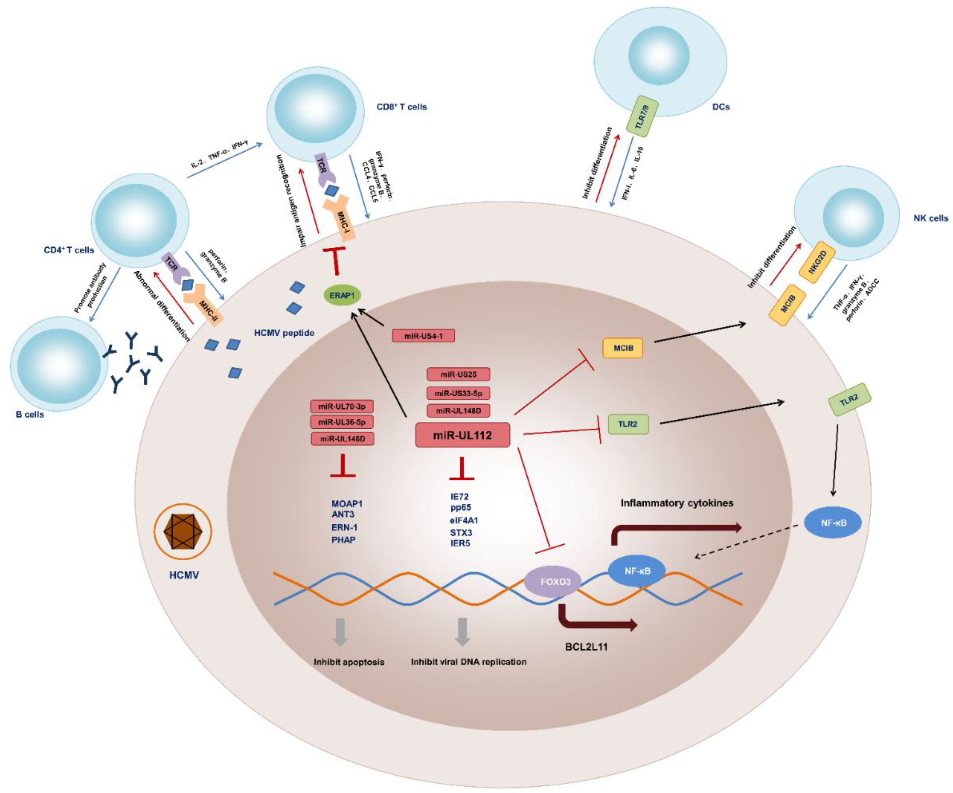 Vaccines 10 00144 g002 550