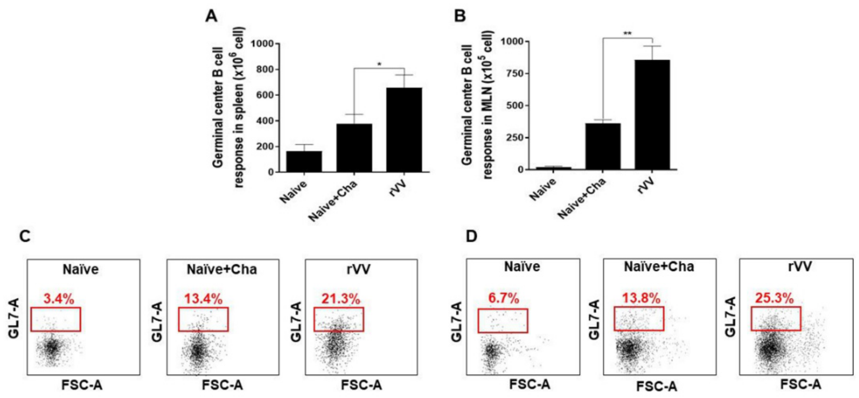 Vaccines 10 00152 g004
