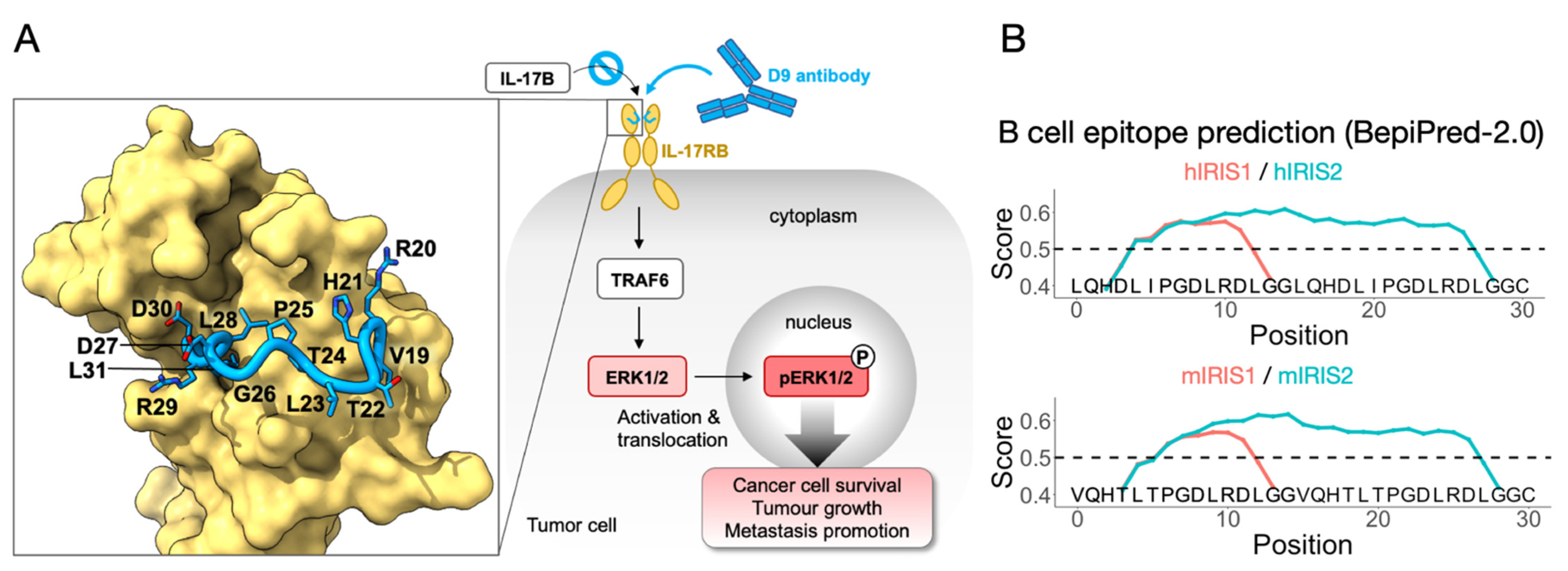 Vaccines 10 00163 g001 550