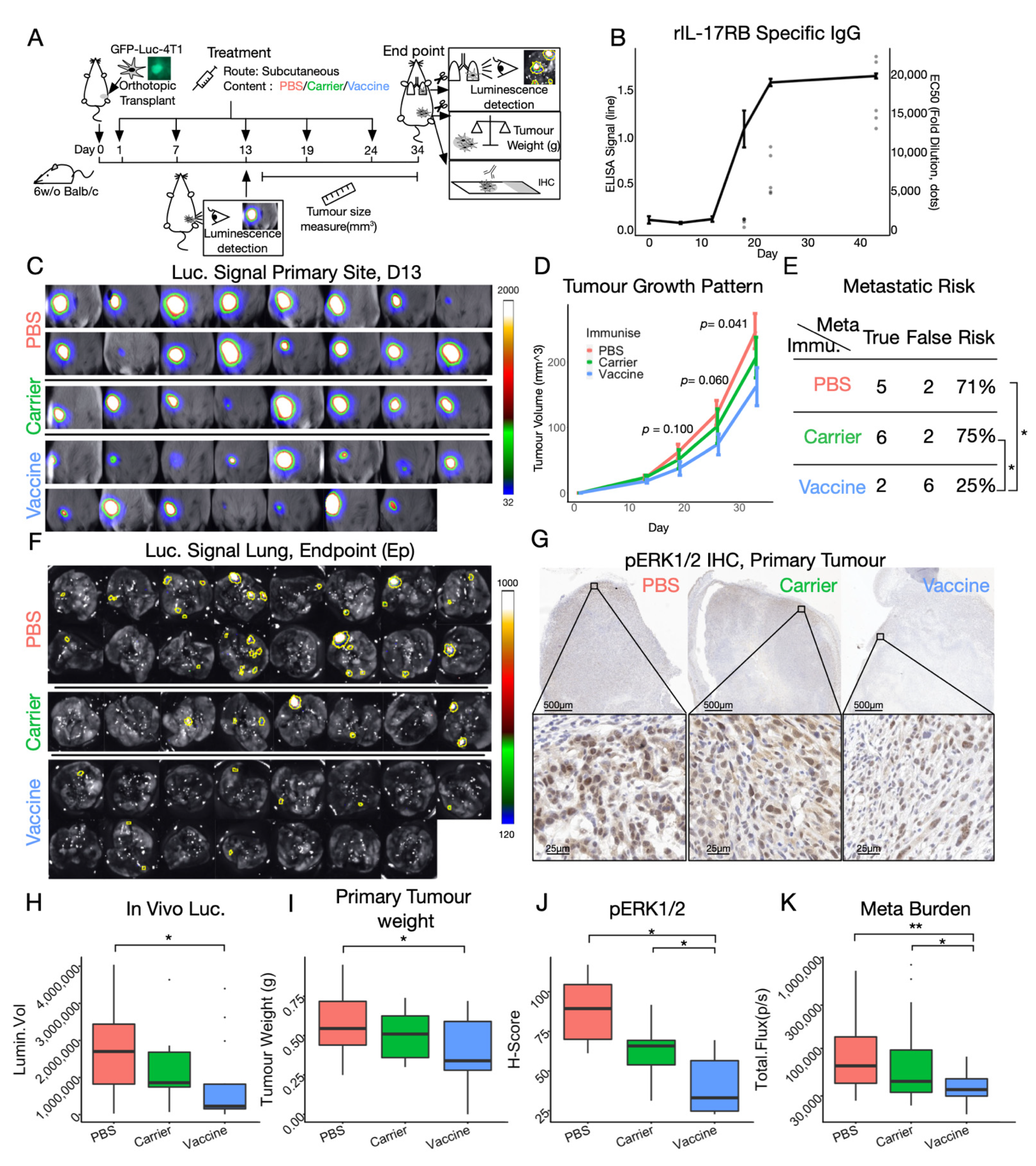 Vaccines 10 00163 g004 550