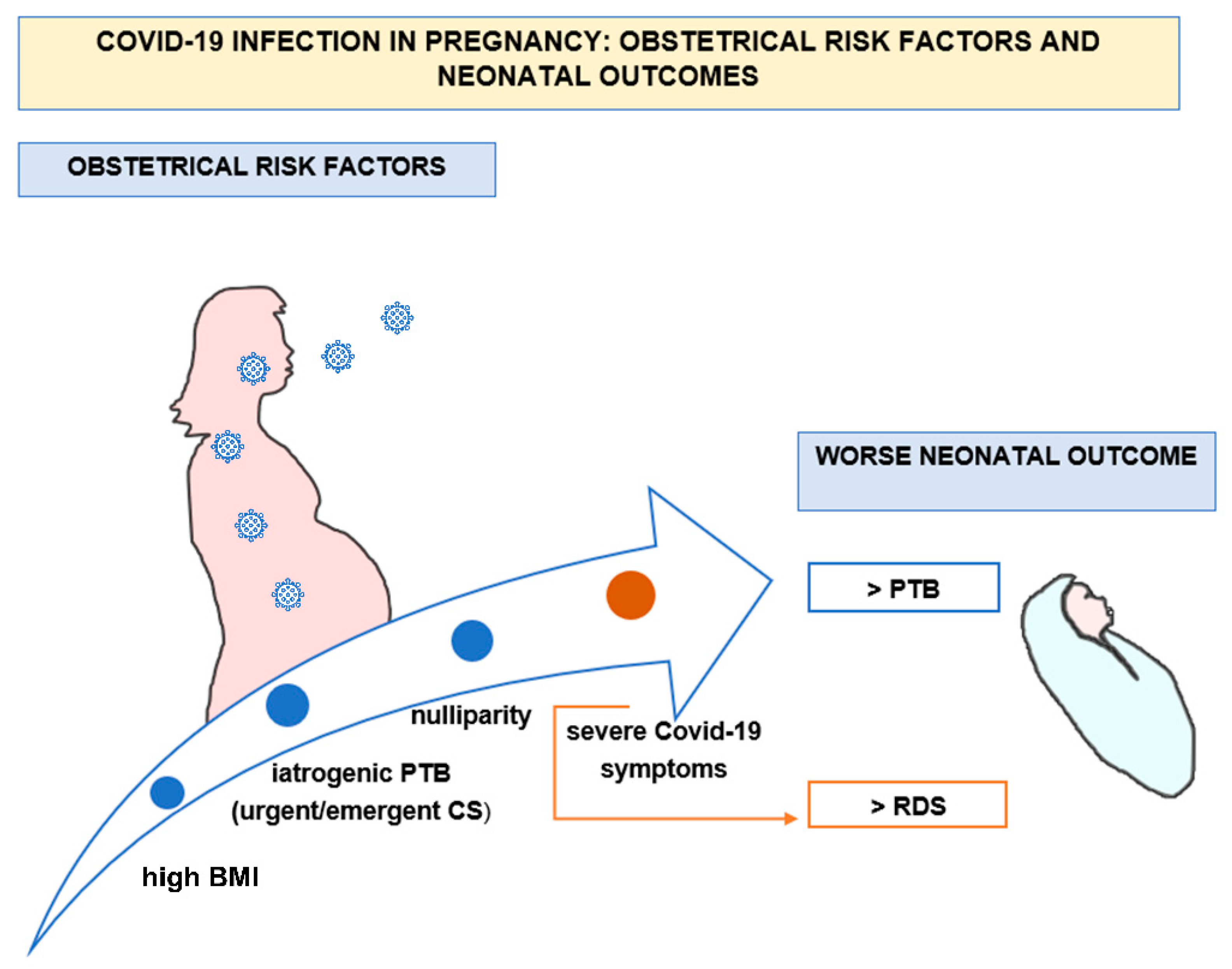 Vaccines 10 00166 g001