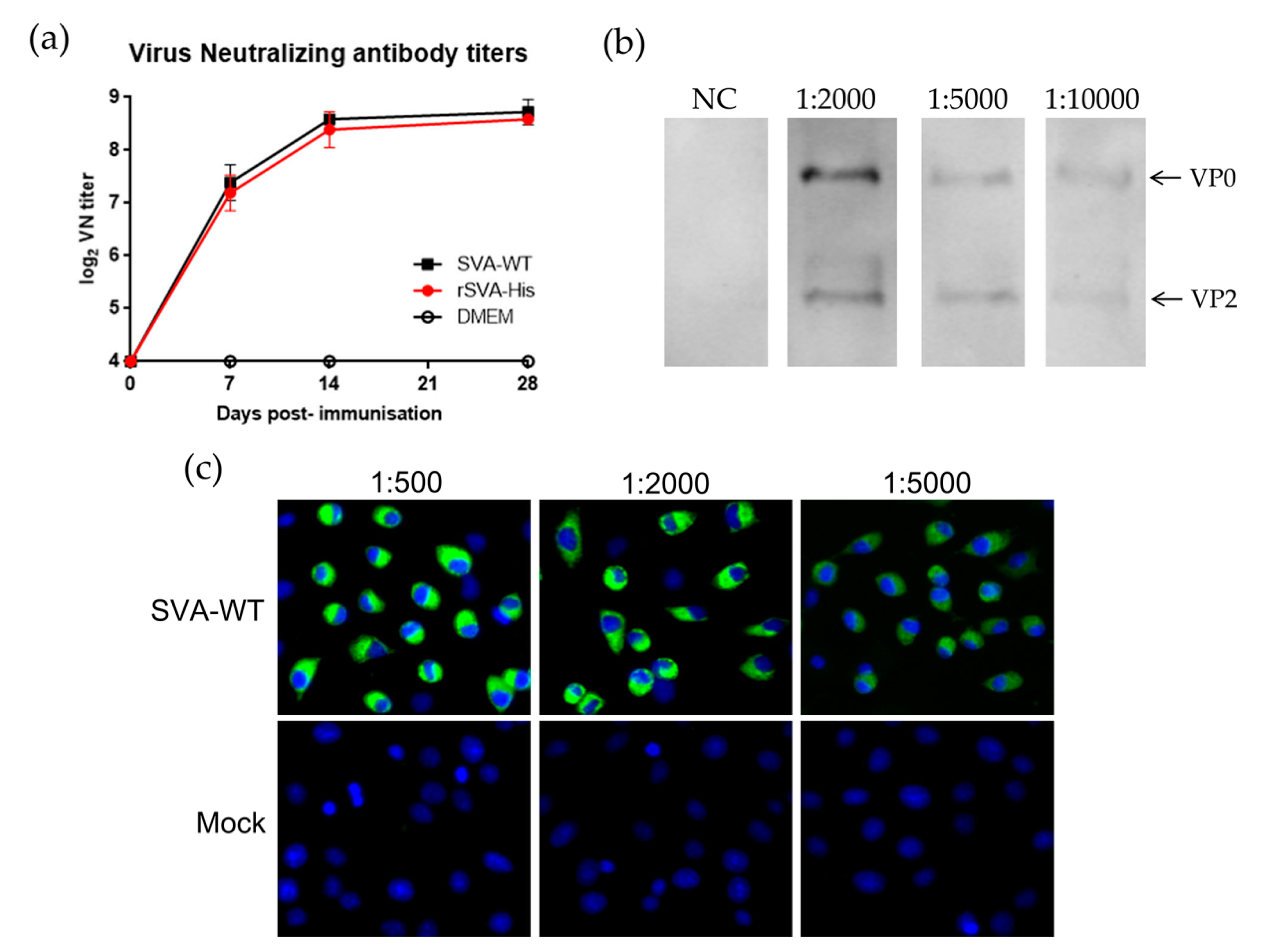 Vaccines 10 00170 g006 550