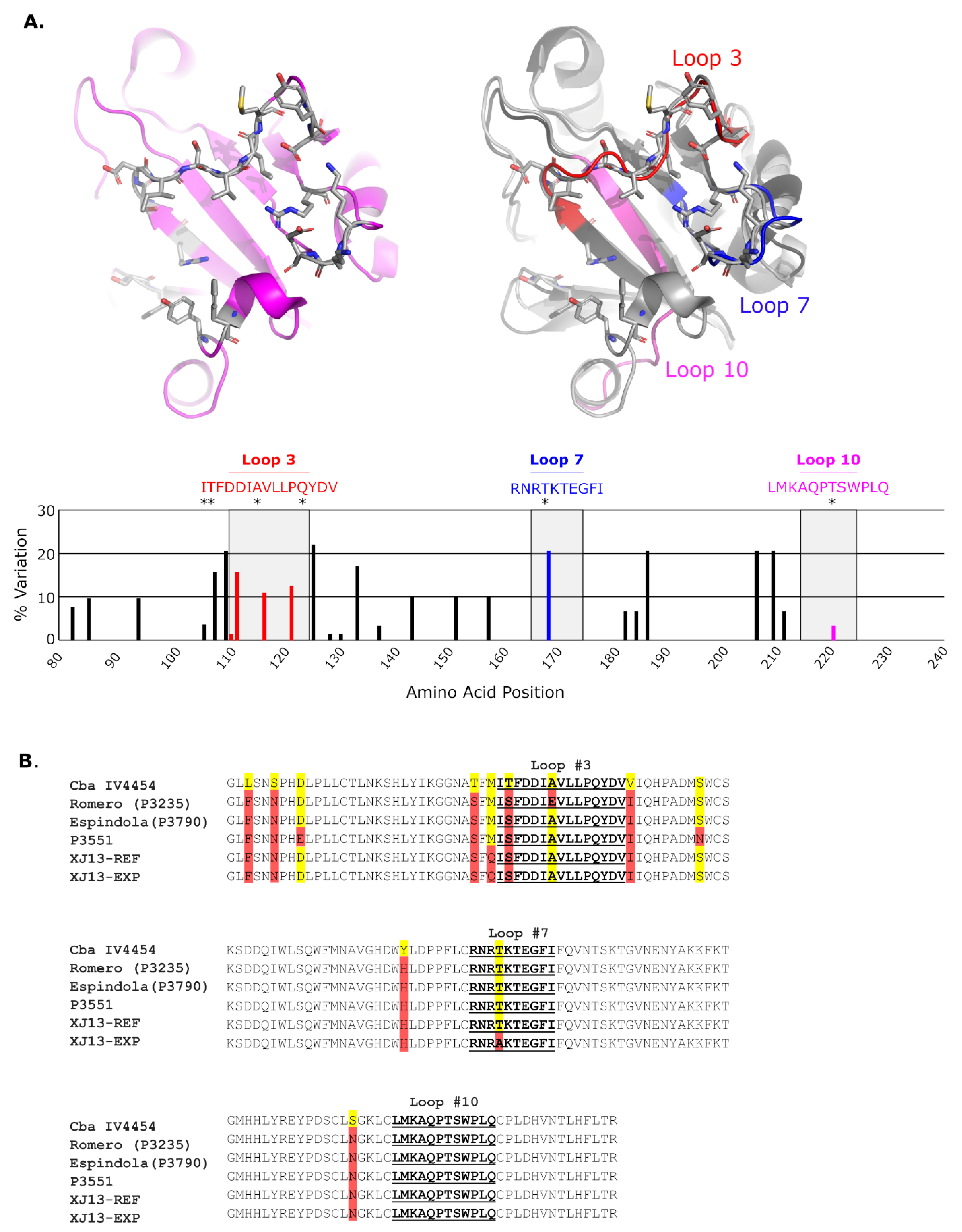 Vaccines 10 00173 g001