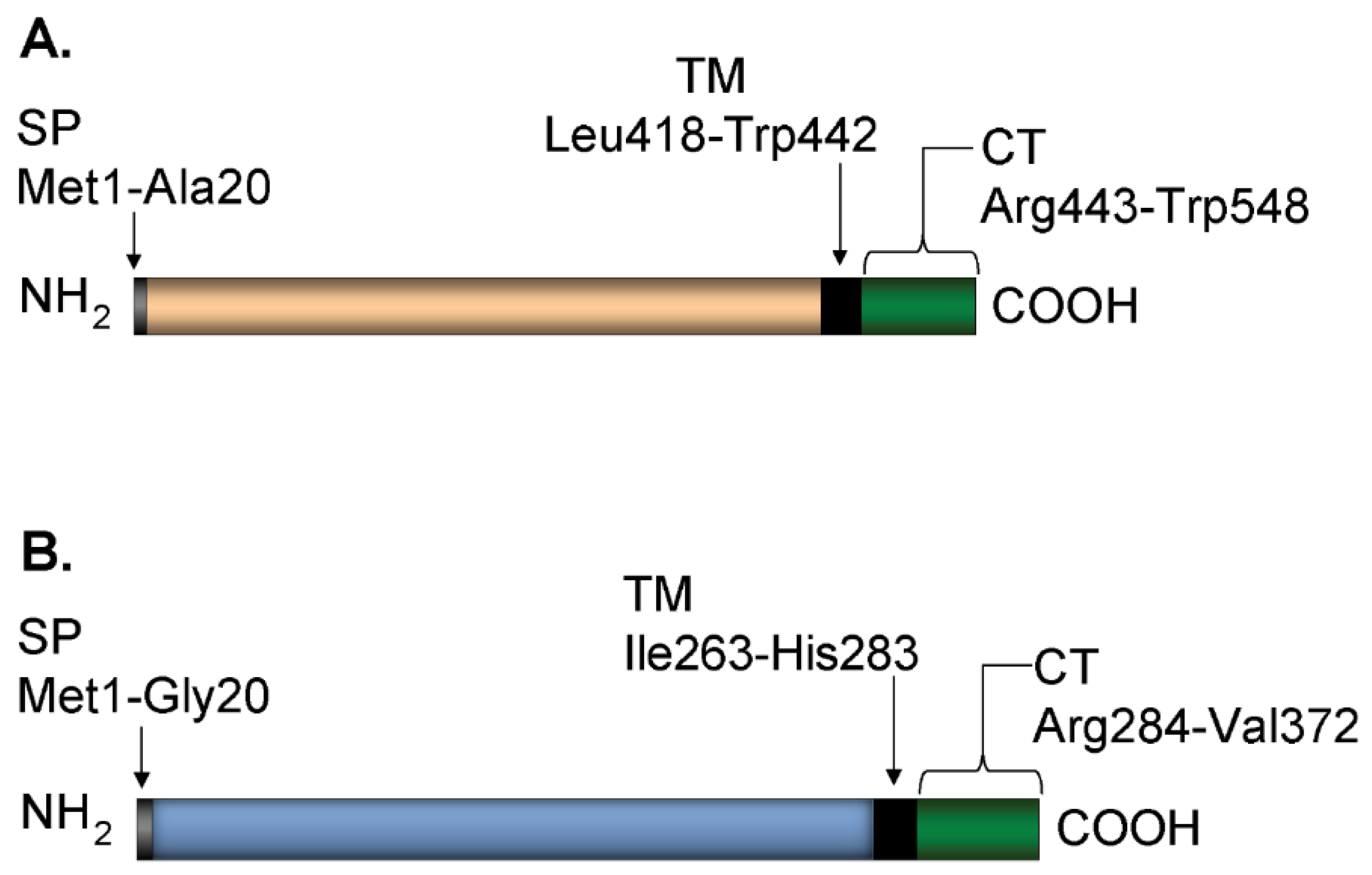 Vaccines 10 00184 g001
