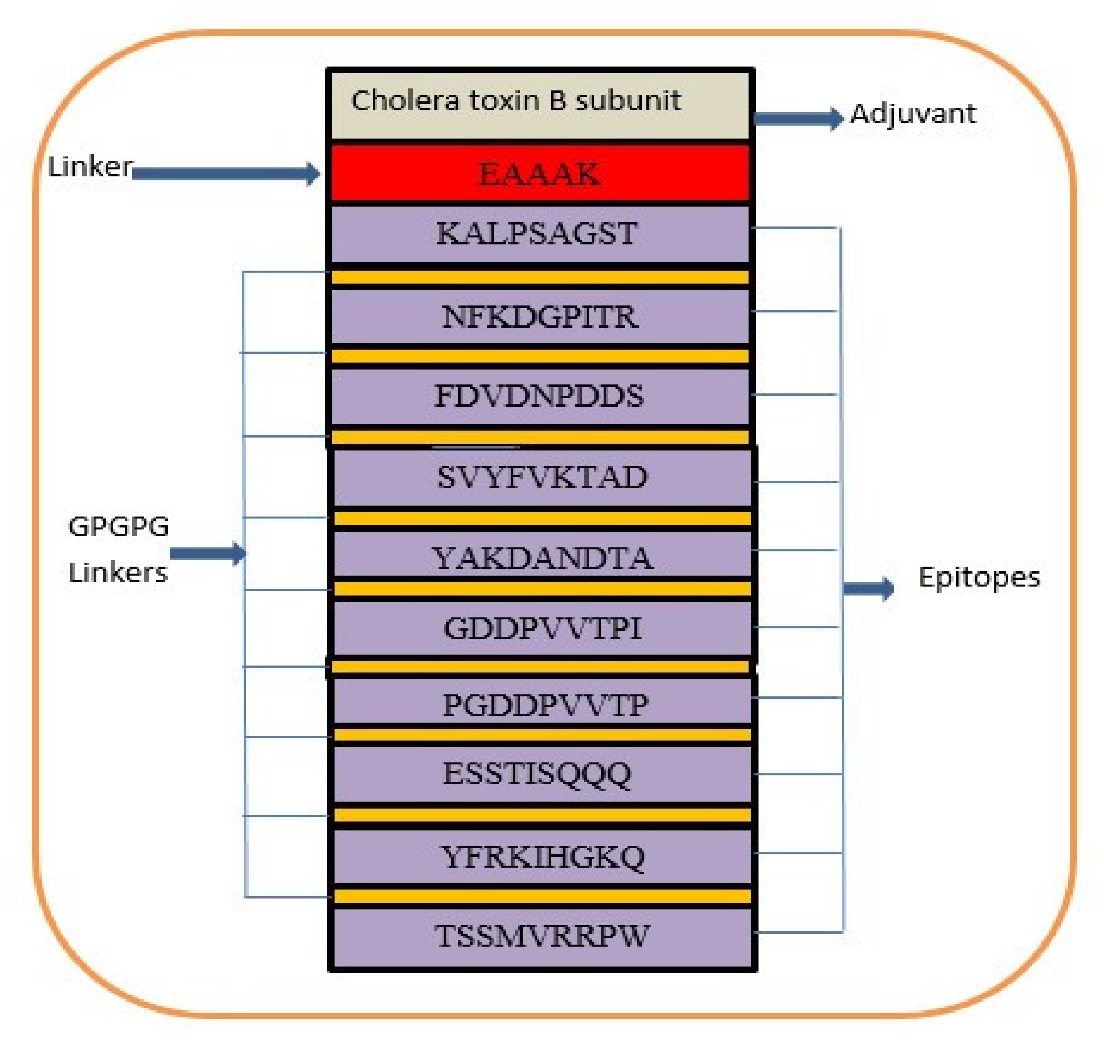 Vaccines 10 00189 g004 550