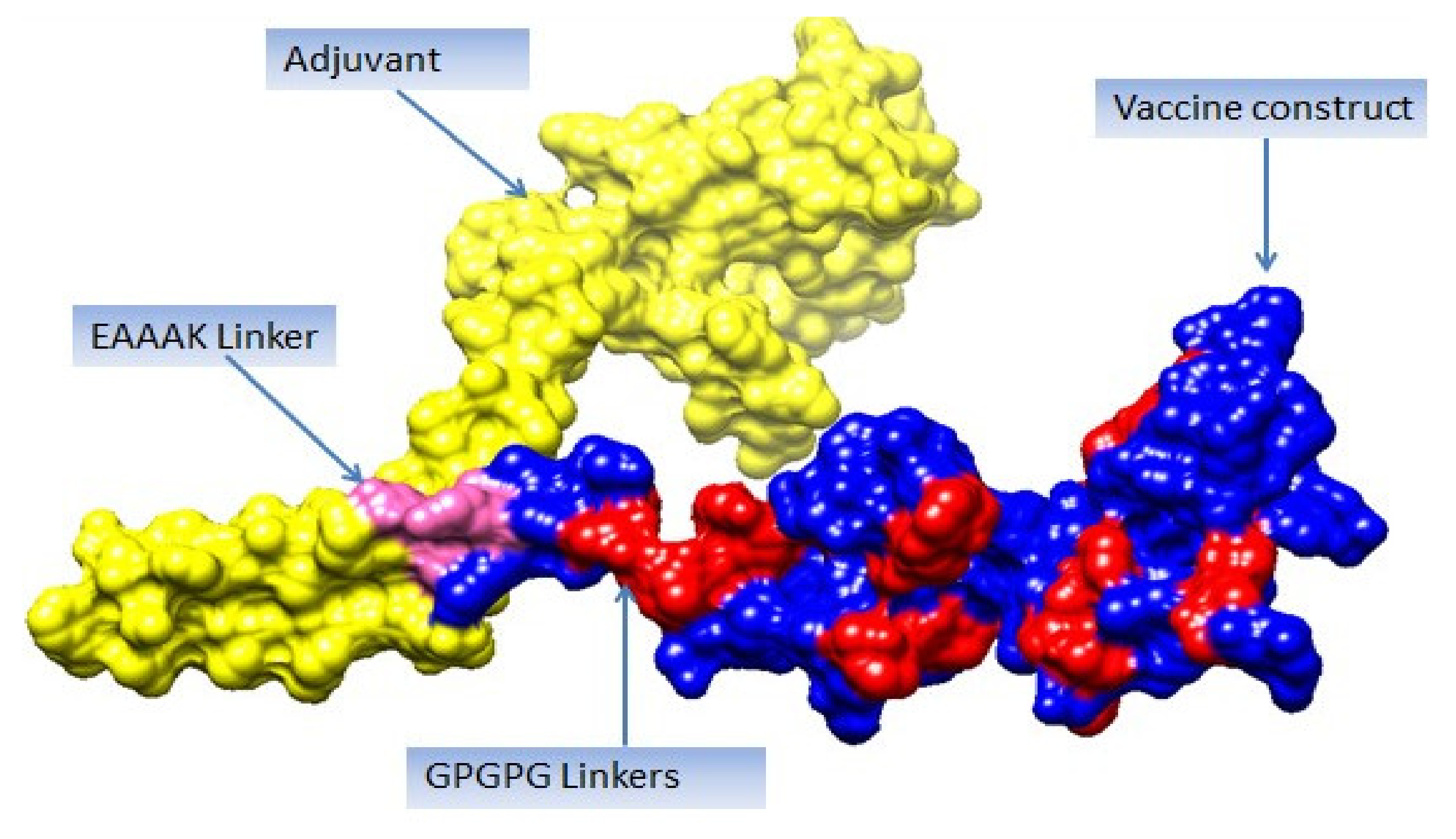 Vaccines 10 00189 g005 550