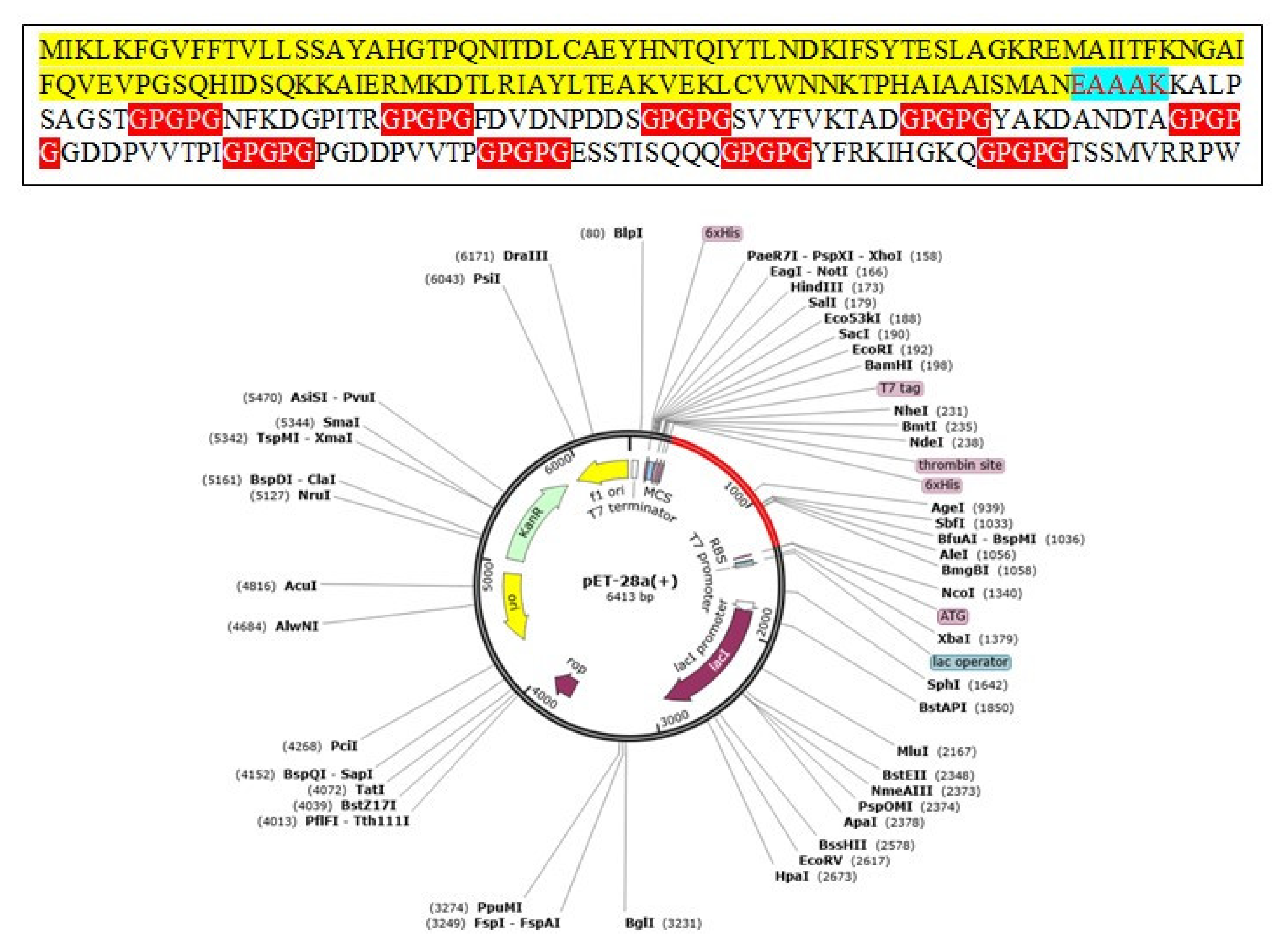 Vaccines 10 00189 g007 550
