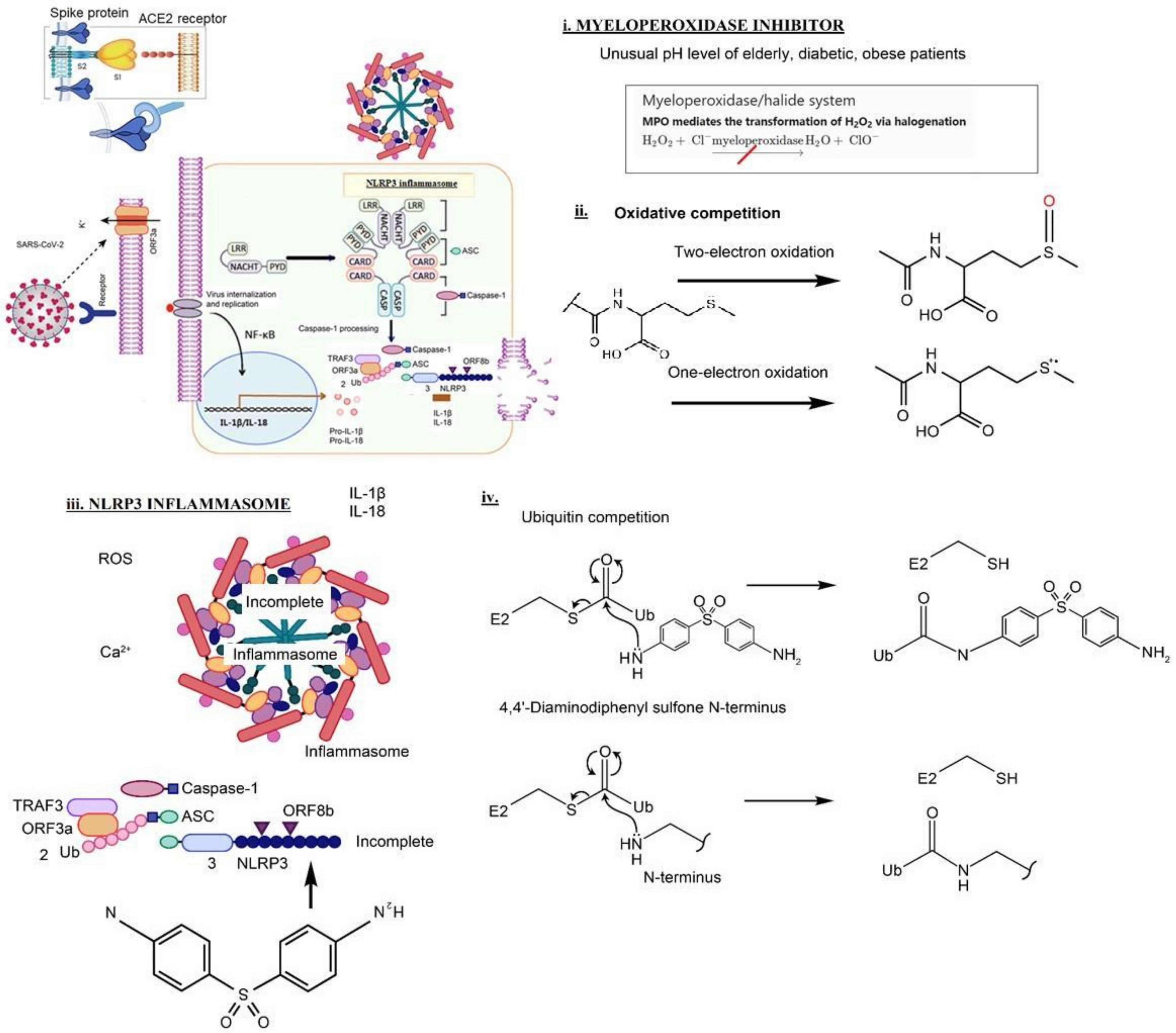 Vaccines 10 00195 g001 550