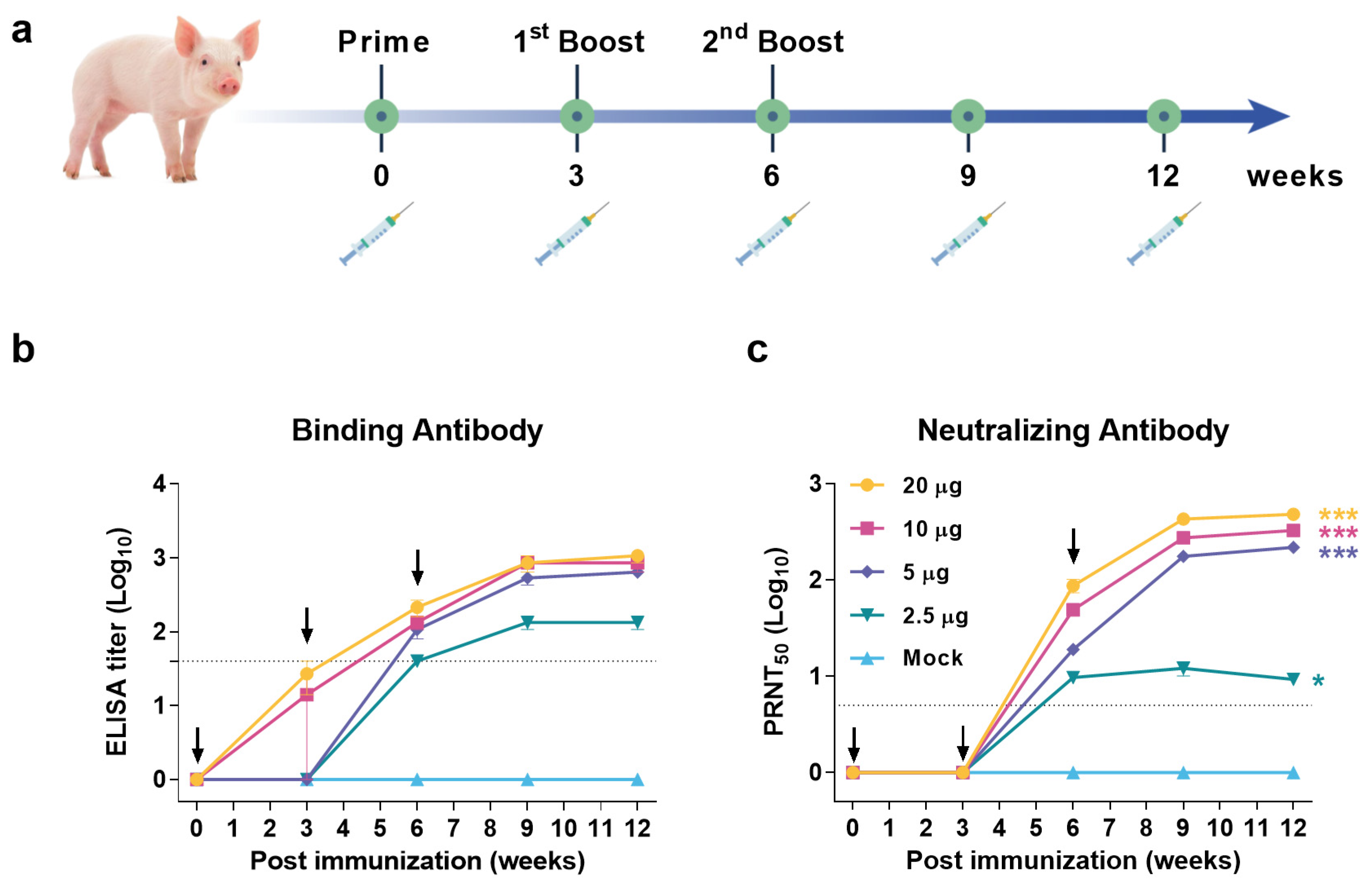 Vaccines 10 00197 g004 Vaccines 10 00197 g004