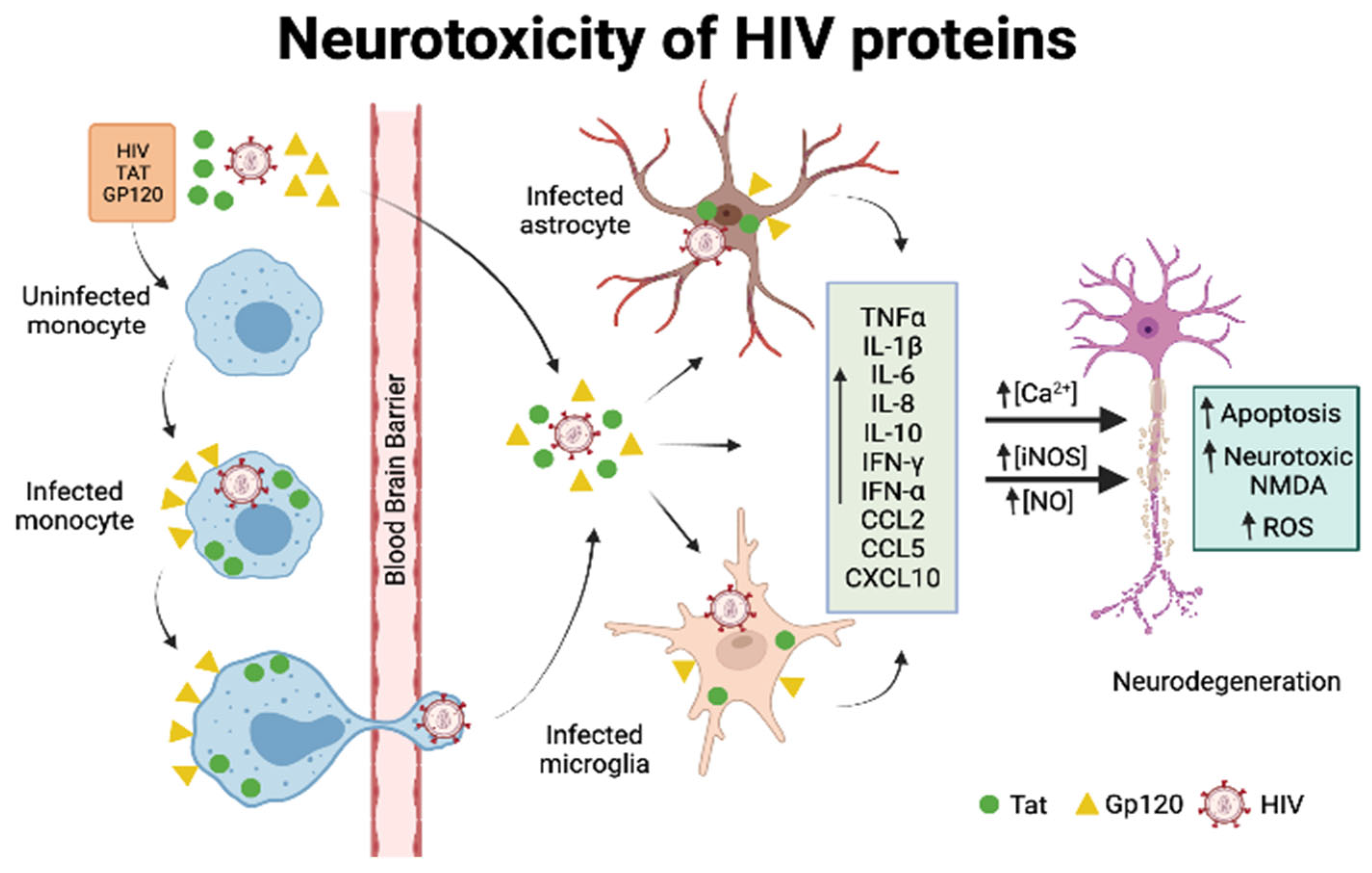 Vaccines 10 00202 g001 Vaccines 10 00202 g001