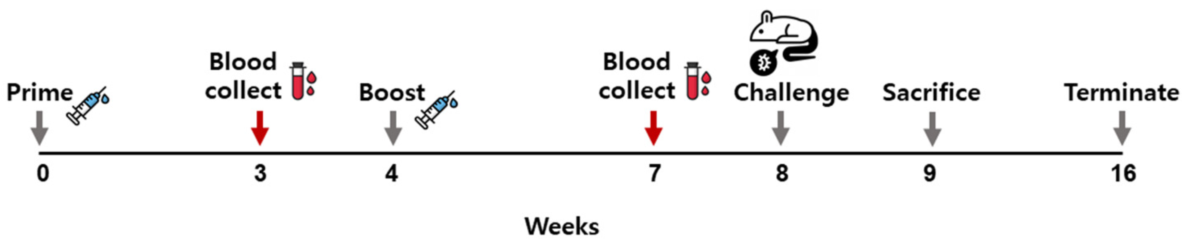 Vaccines 10 00203 g002