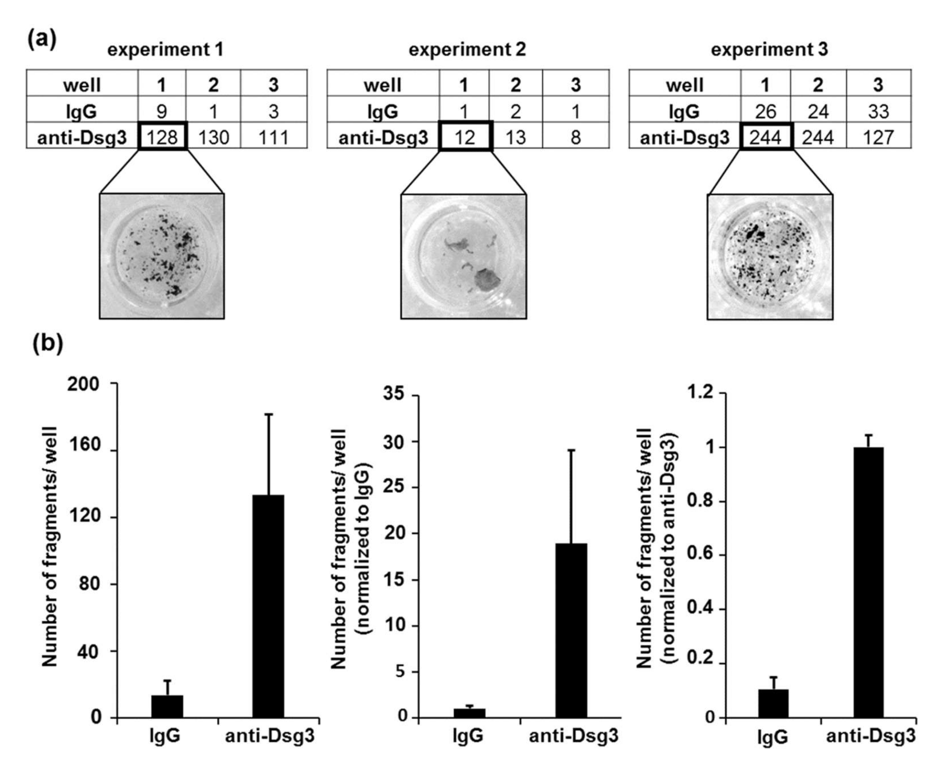 Vaccines 10 00208 g005
