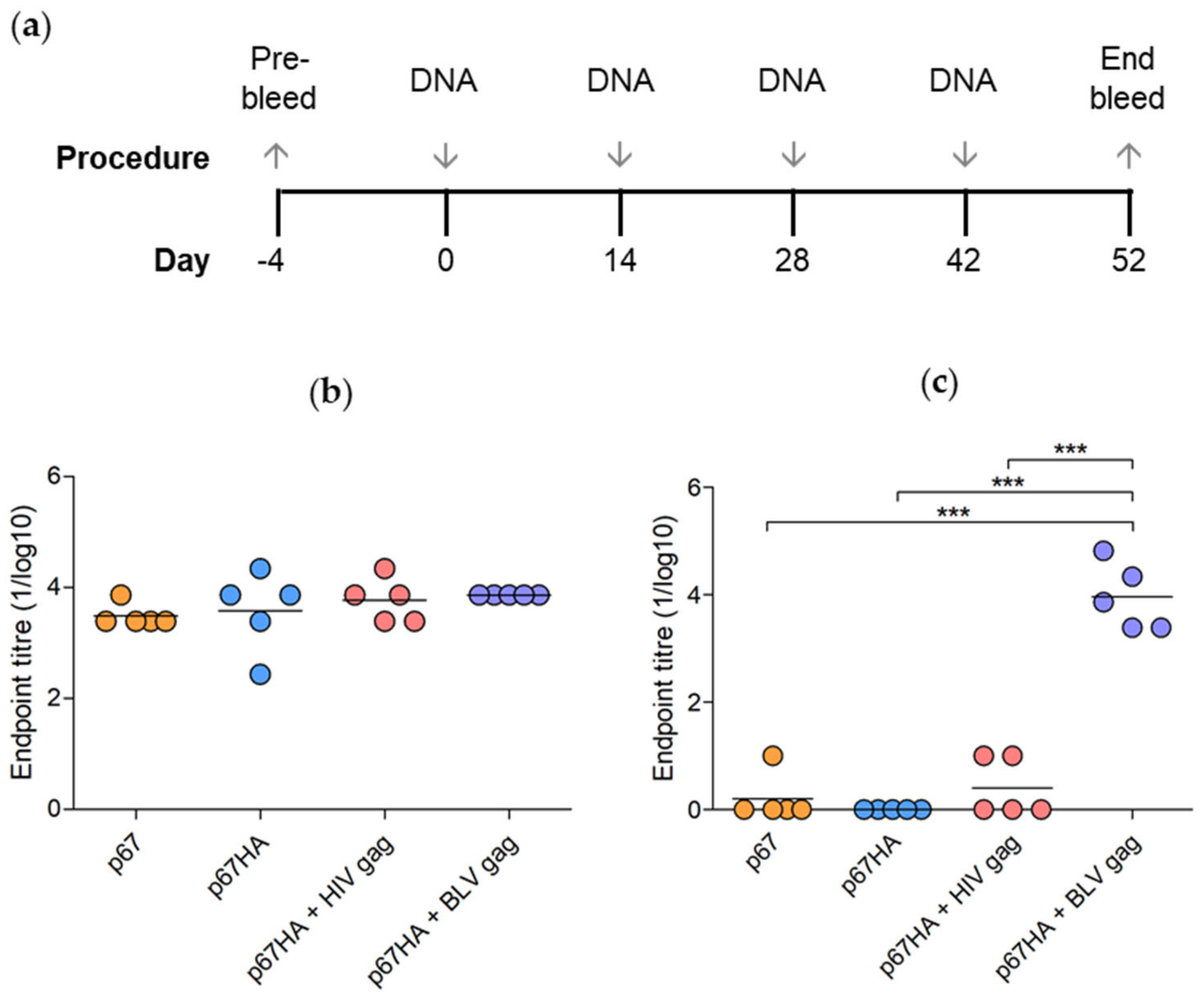 Vaccines 10 00210 g006 Vaccines 10 00210 g006