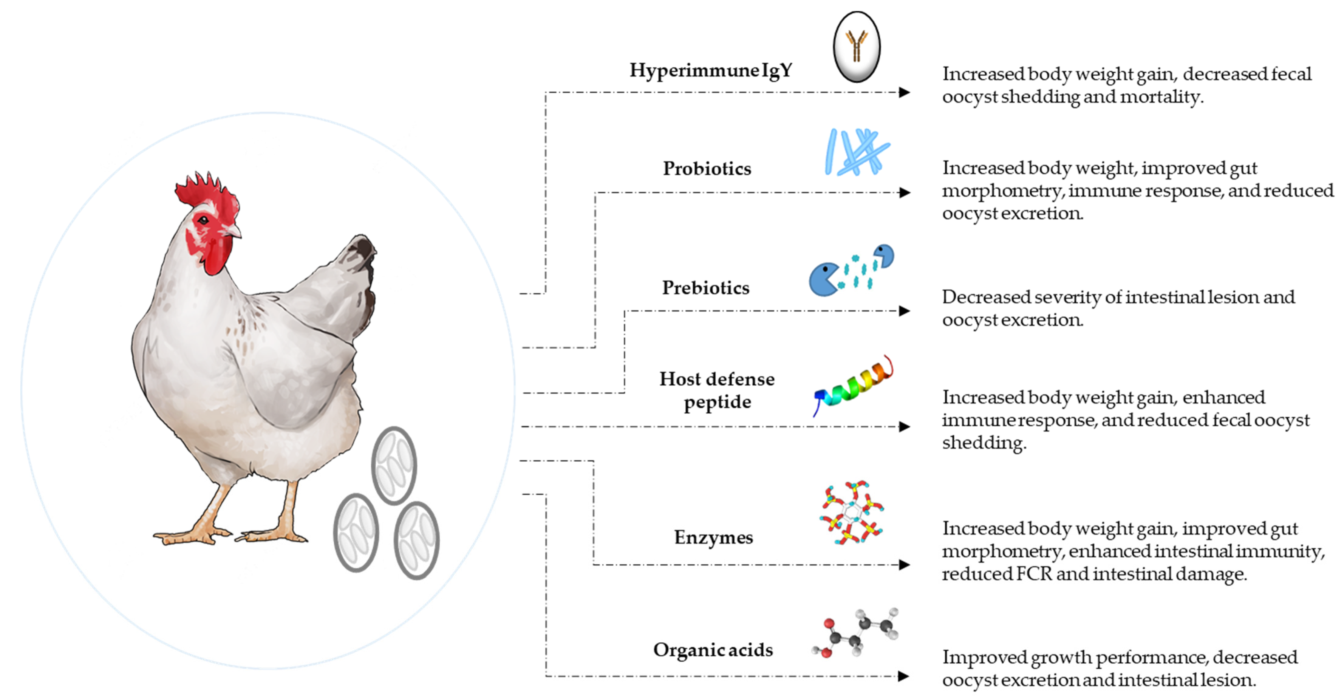 Coccidiosis: Recent Progress in Host Immunity and Alternatives to 