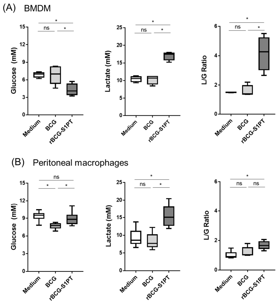 Vaccines 10 00234 g004