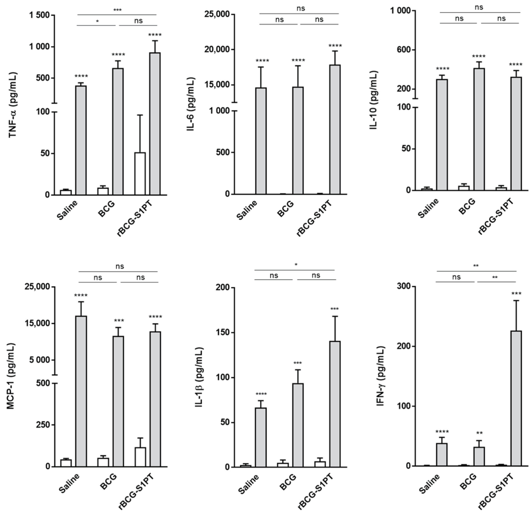Vaccines 10 00234 g005