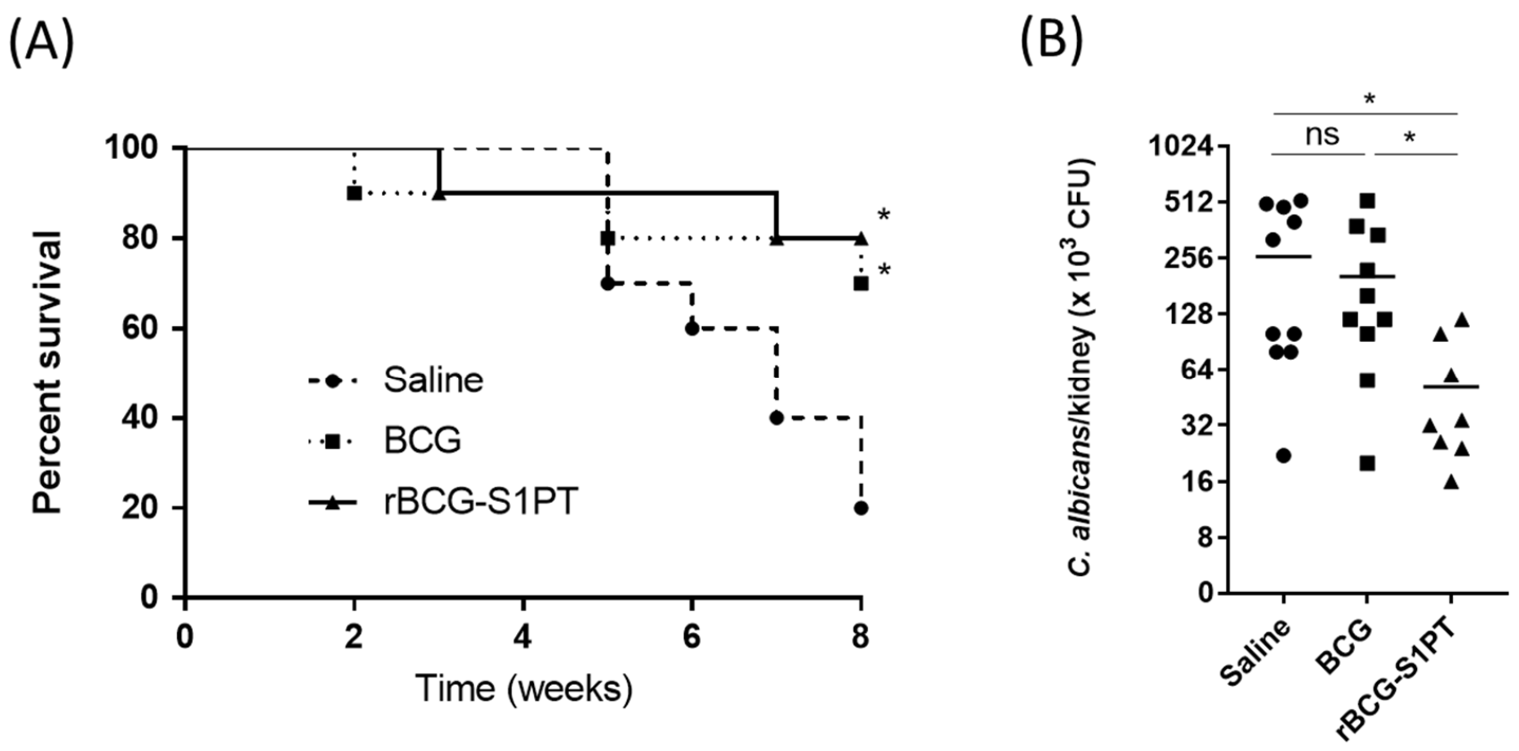 Vaccines 10 00234 g006