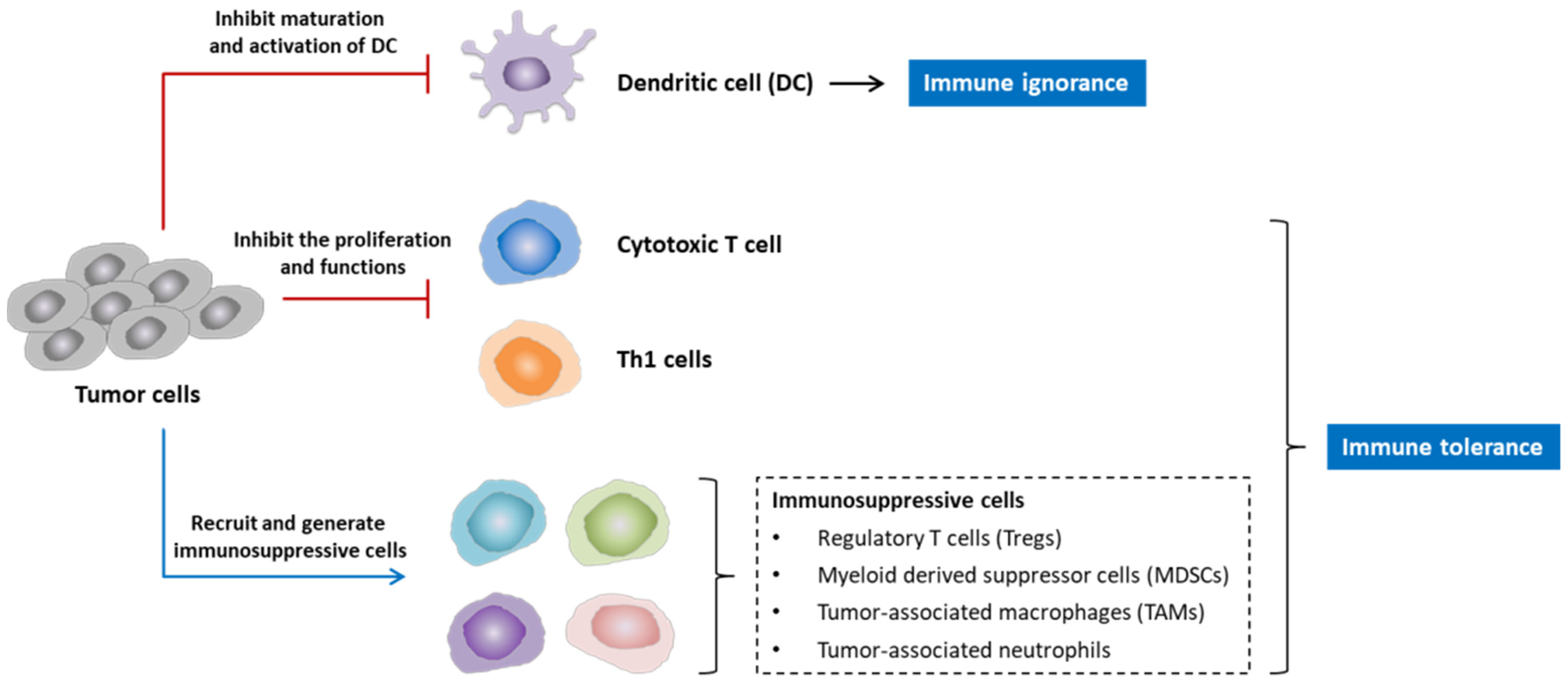 Vaccines 10 00240 g003