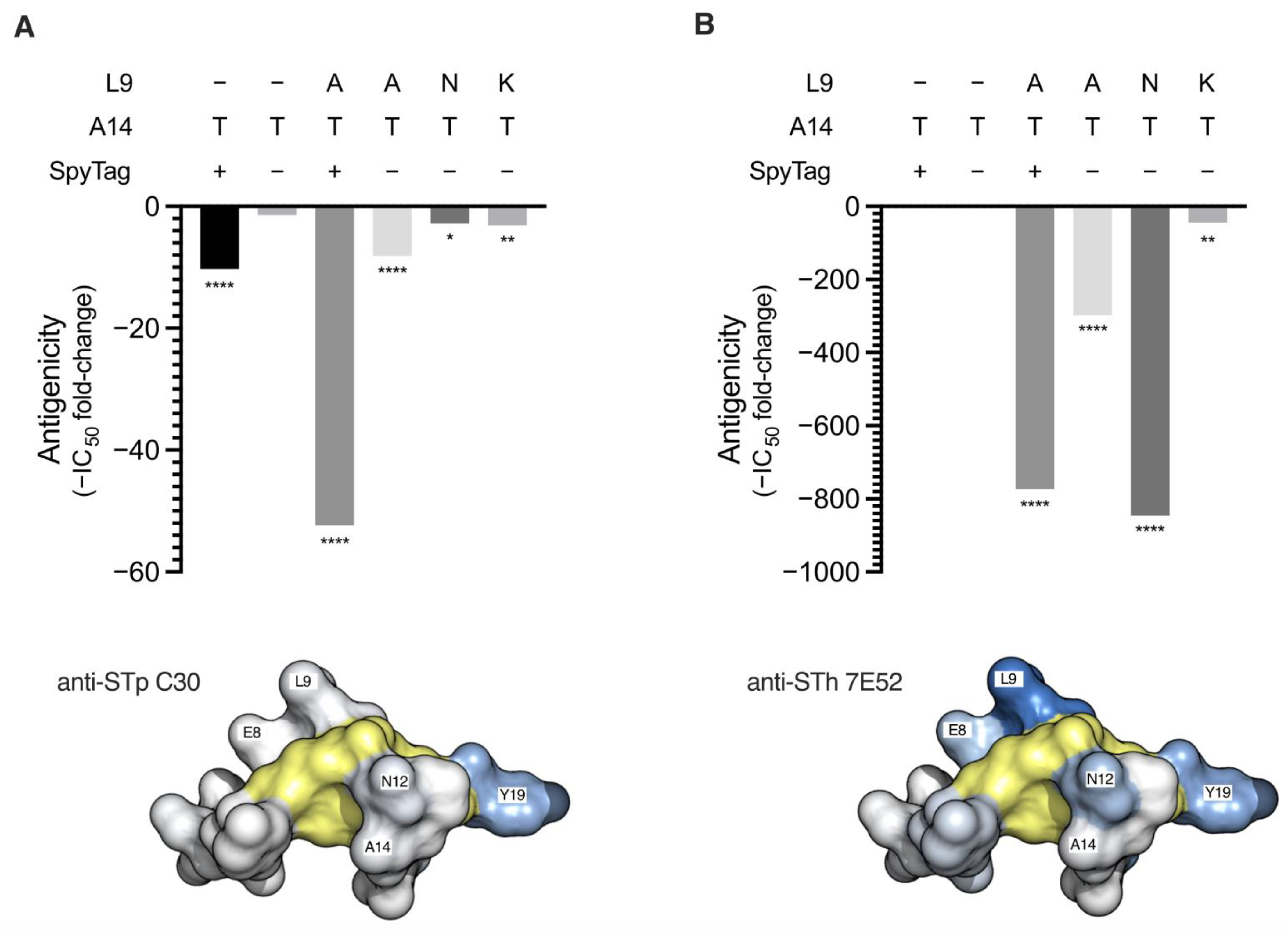 Vaccines 10 00241 g001