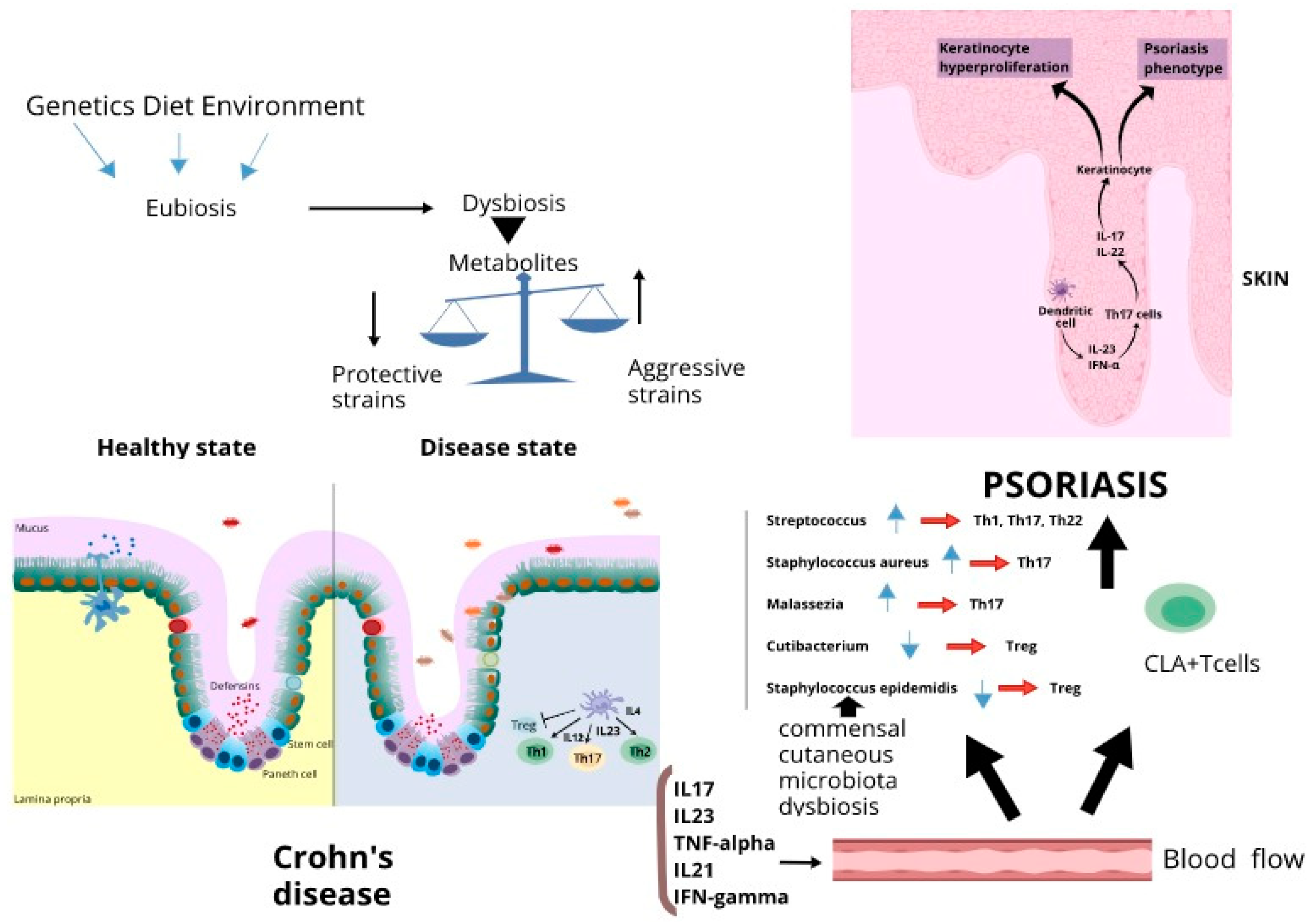 Vaccines 10 00244 g001 550