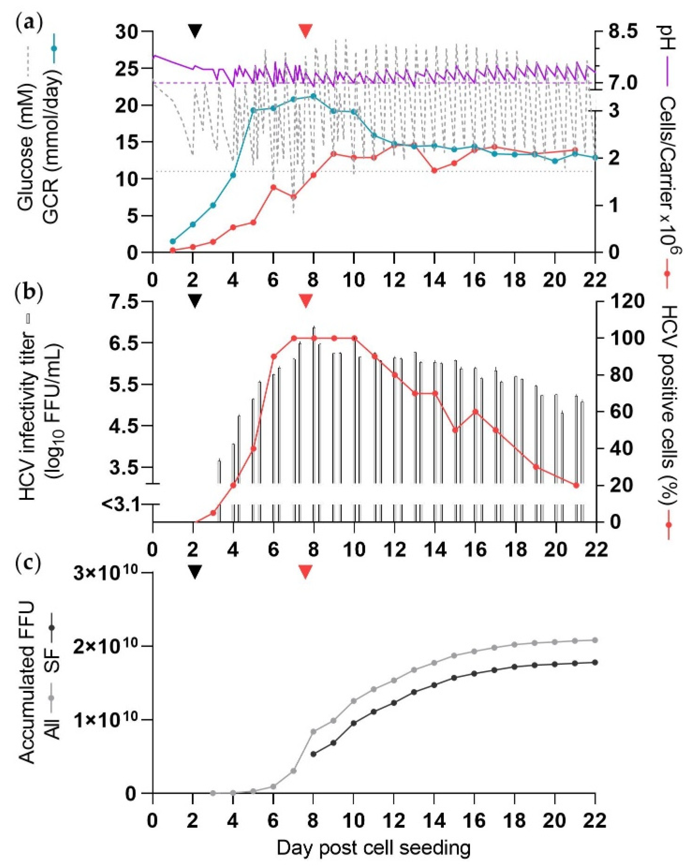 Vaccines 10 00249 g003