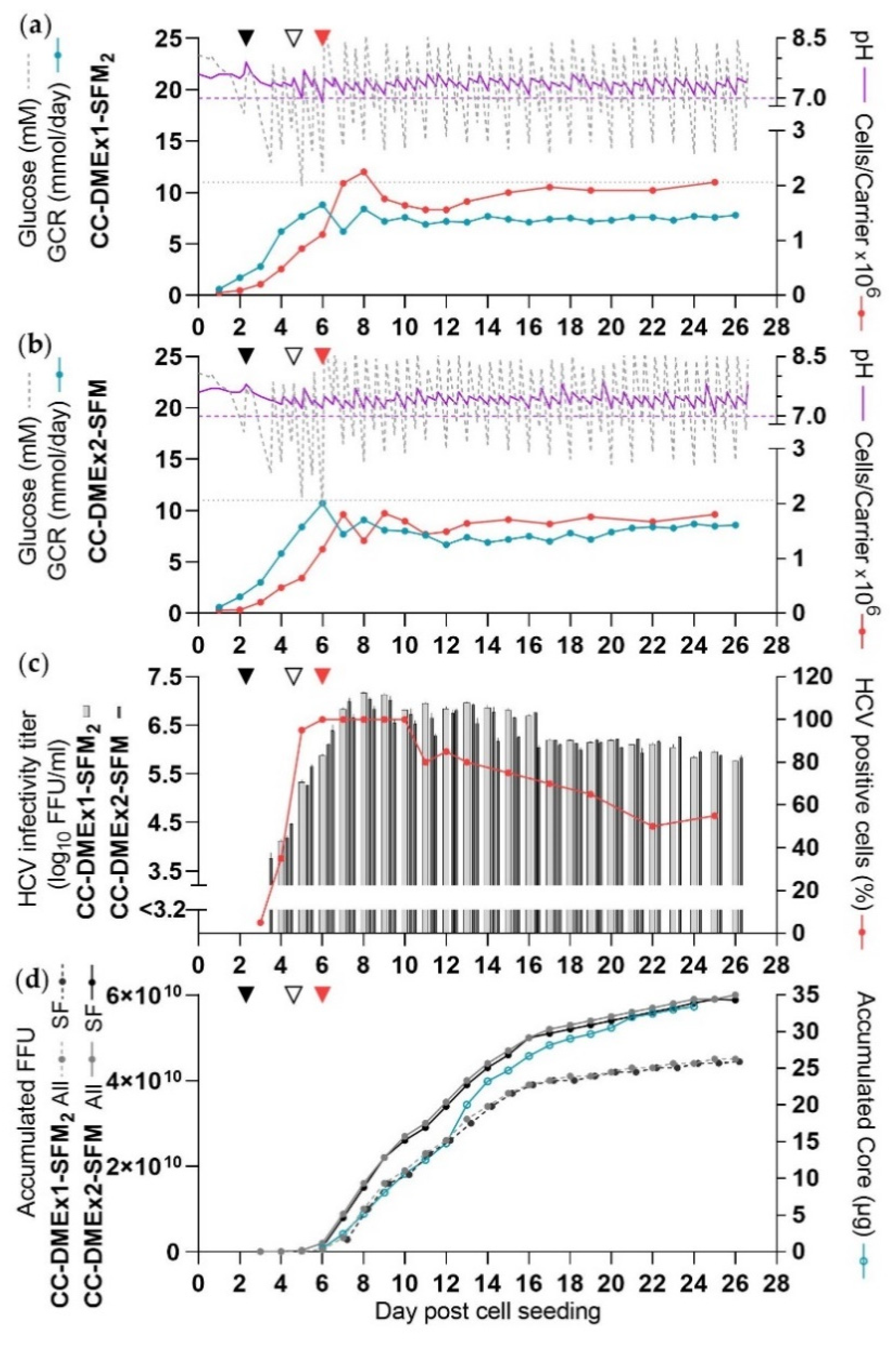 Vaccines 10 00249 g005