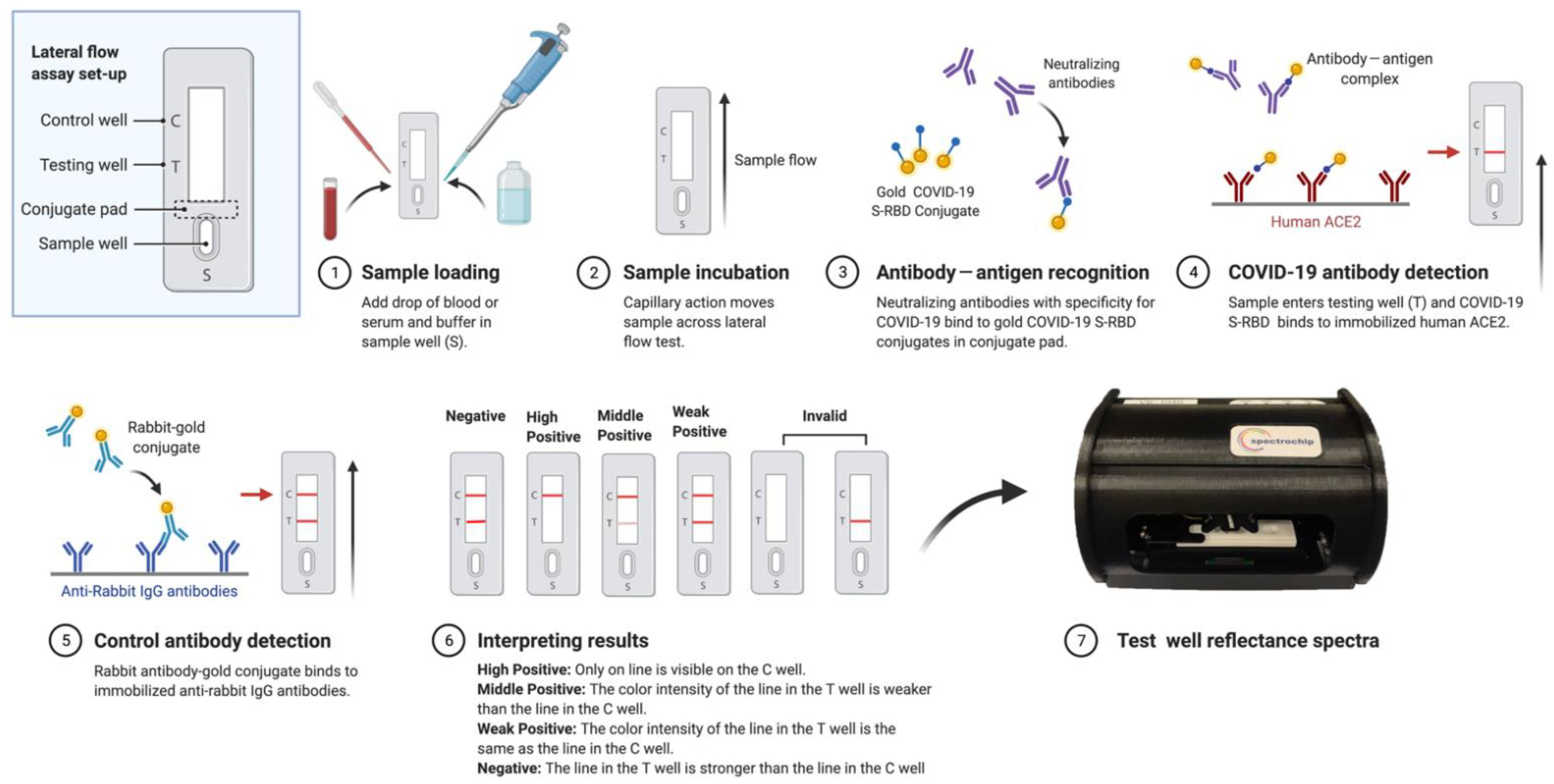 Vaccines 10 00271 g001 550