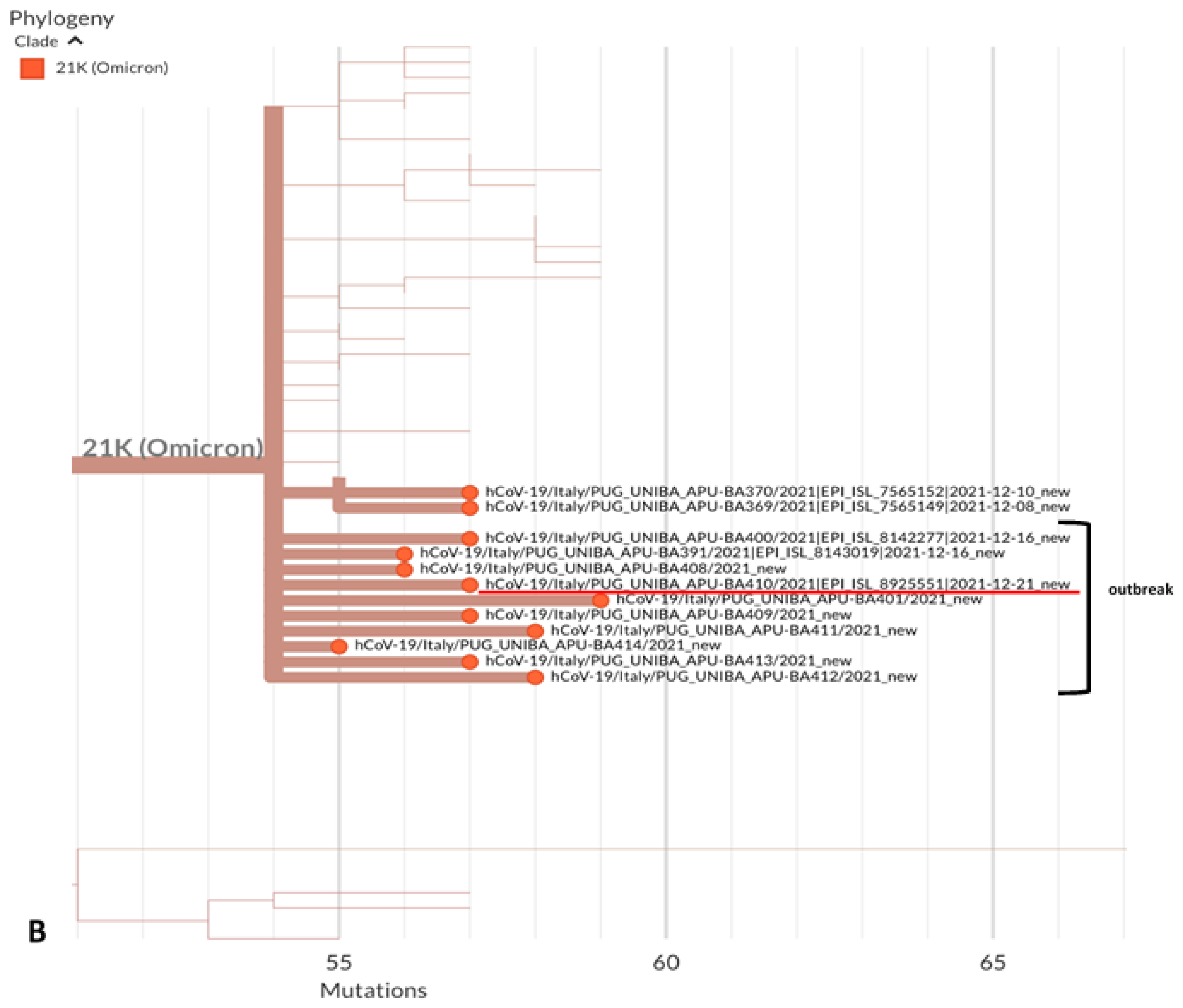 Vaccines 10 00283 g001b 550