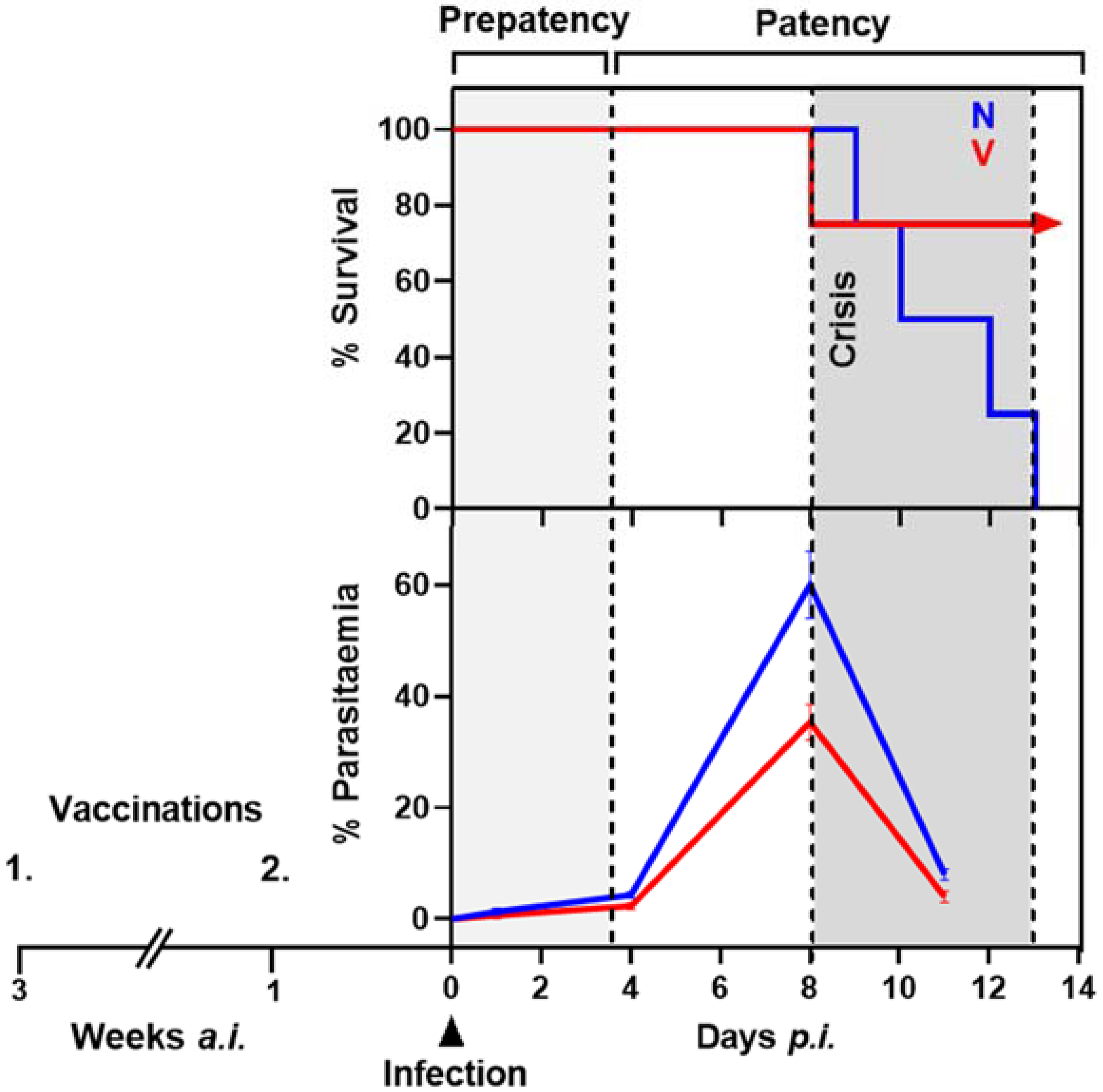 Vaccines 10 00287 g001 Vaccines 10 00287 g001