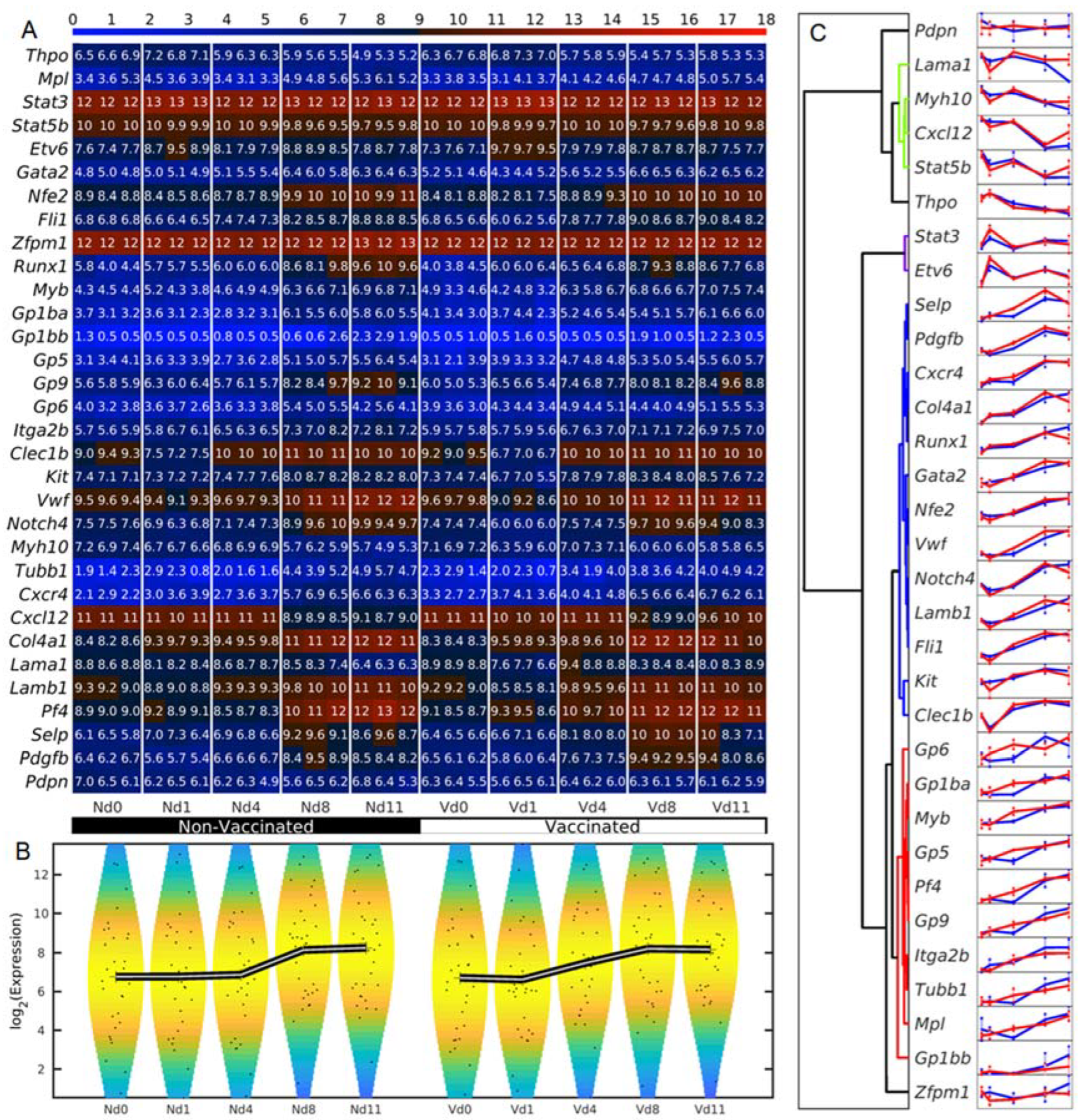 Vaccines 10 00287 g002 Vaccines 10 00287 g002