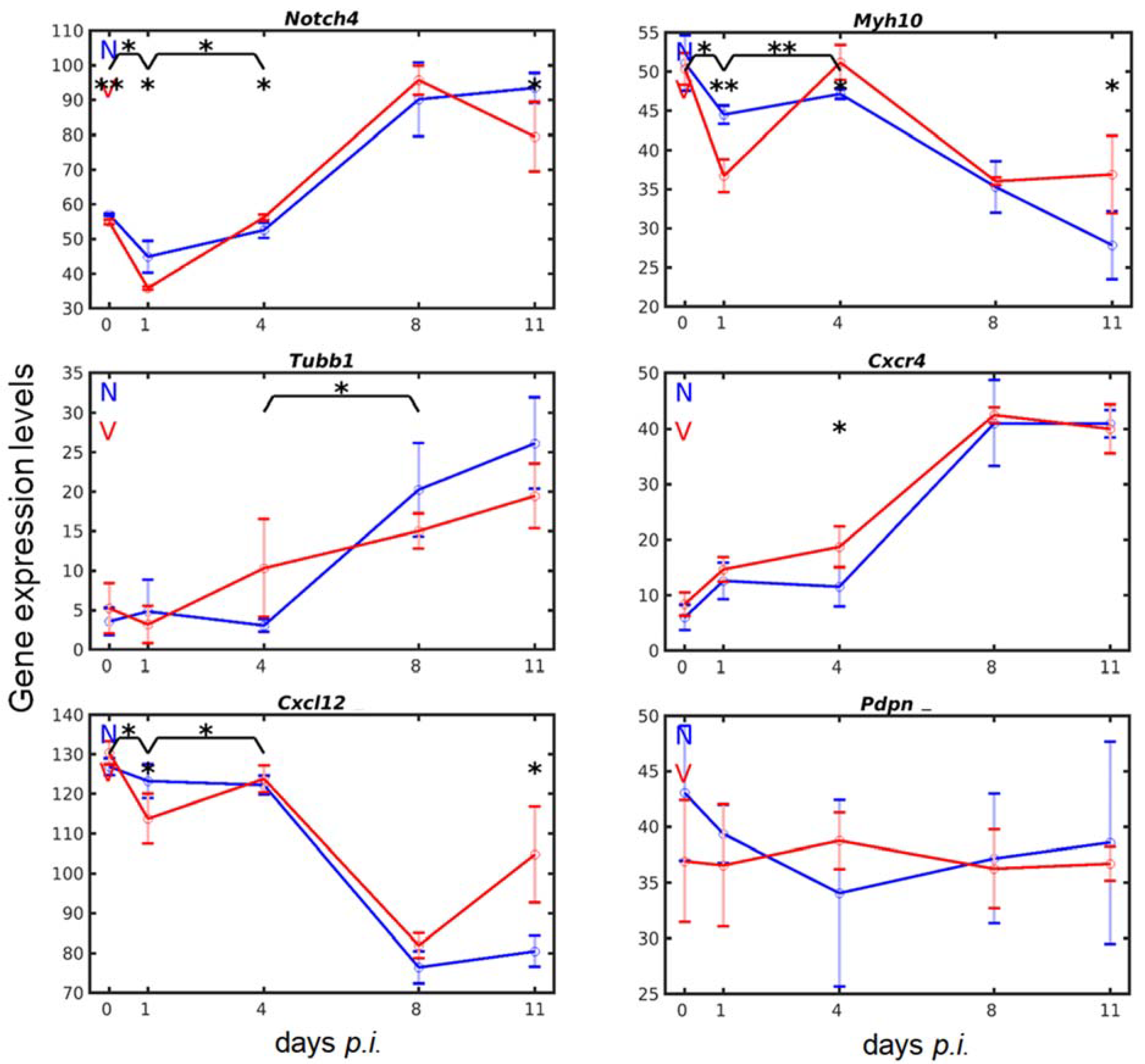 Vaccines 10 00287 g006 Vaccines 10 00287 g006