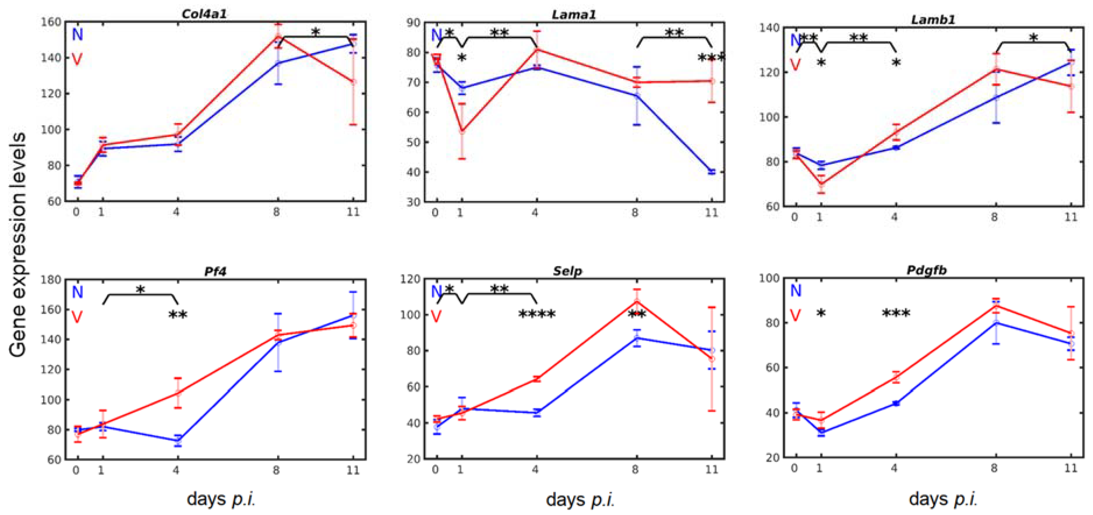 Vaccines 10 00287 g007 Vaccines 10 00287 g007