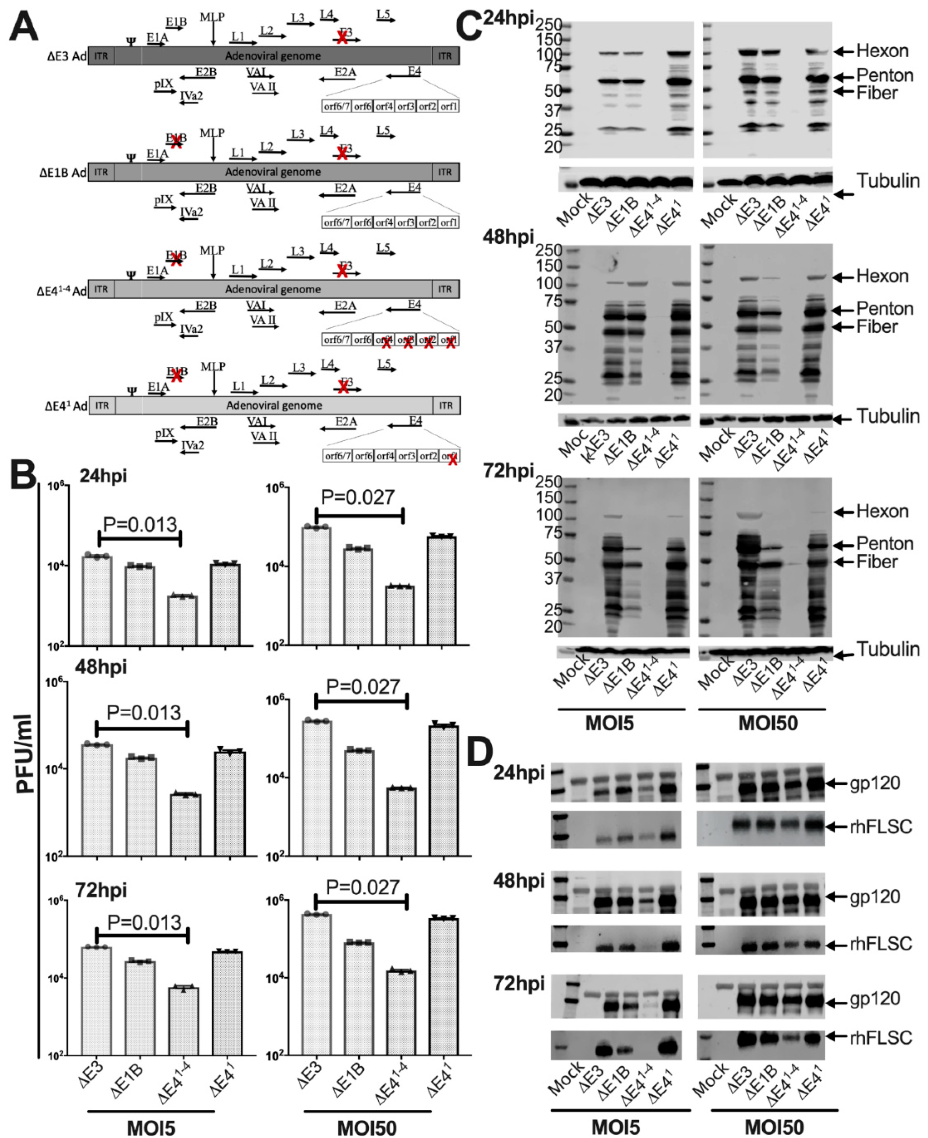 Vaccines 10 00295 g001 Vaccines 10 00295 g001