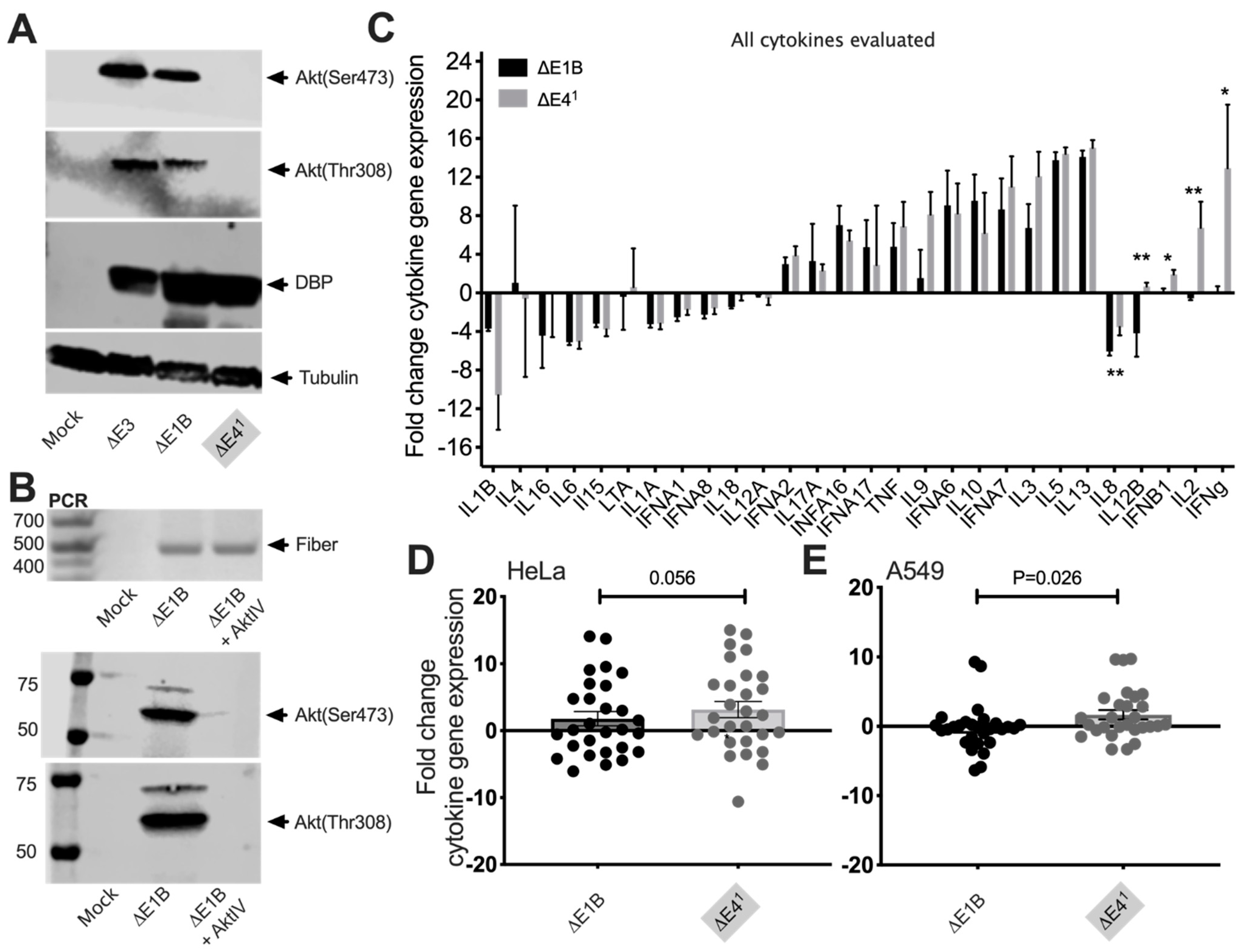 Vaccines 10 00295 g002 Vaccines 10 00295 g002