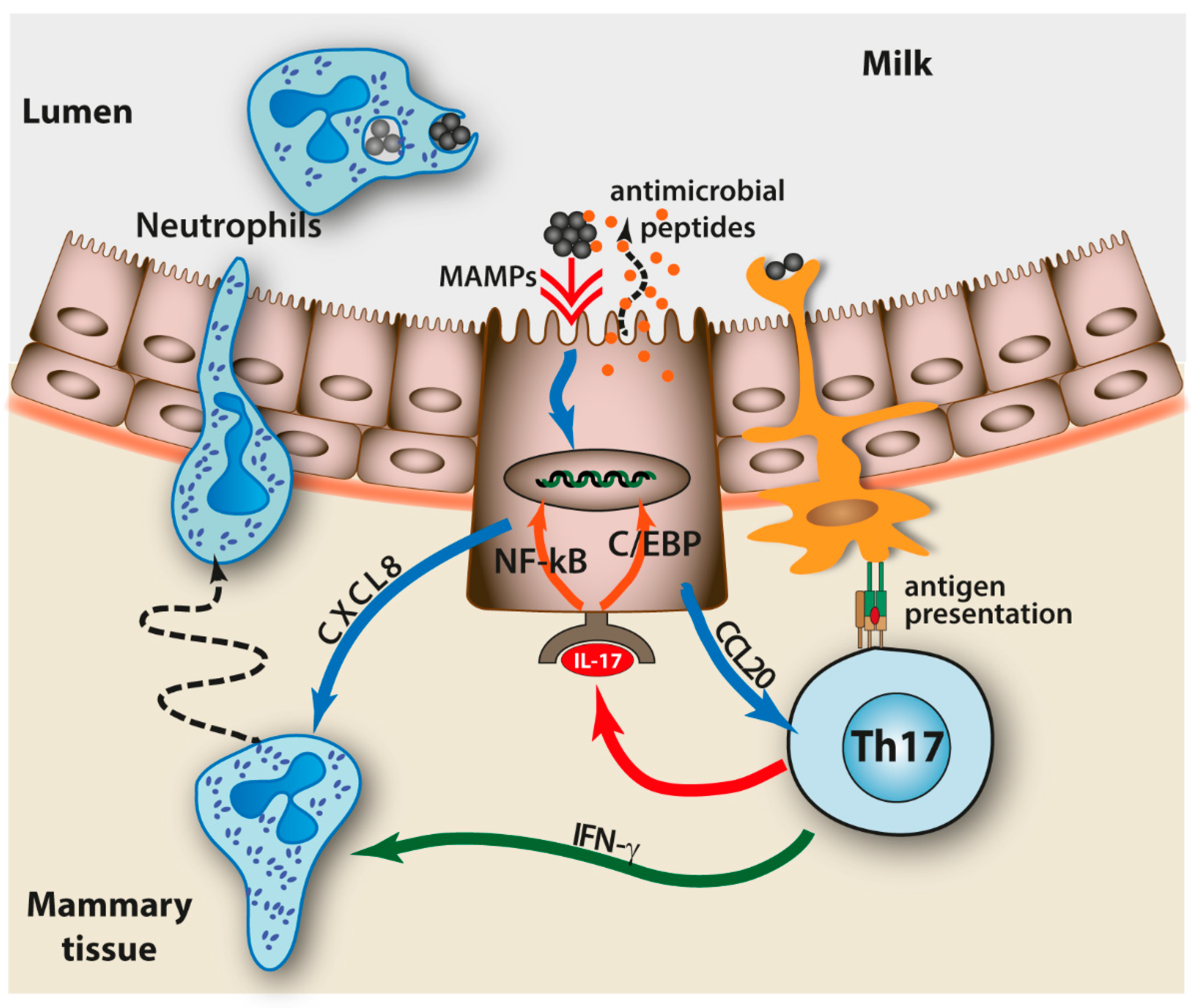 Vaccines 10 00296 g002 Vaccines 10 00296 g002