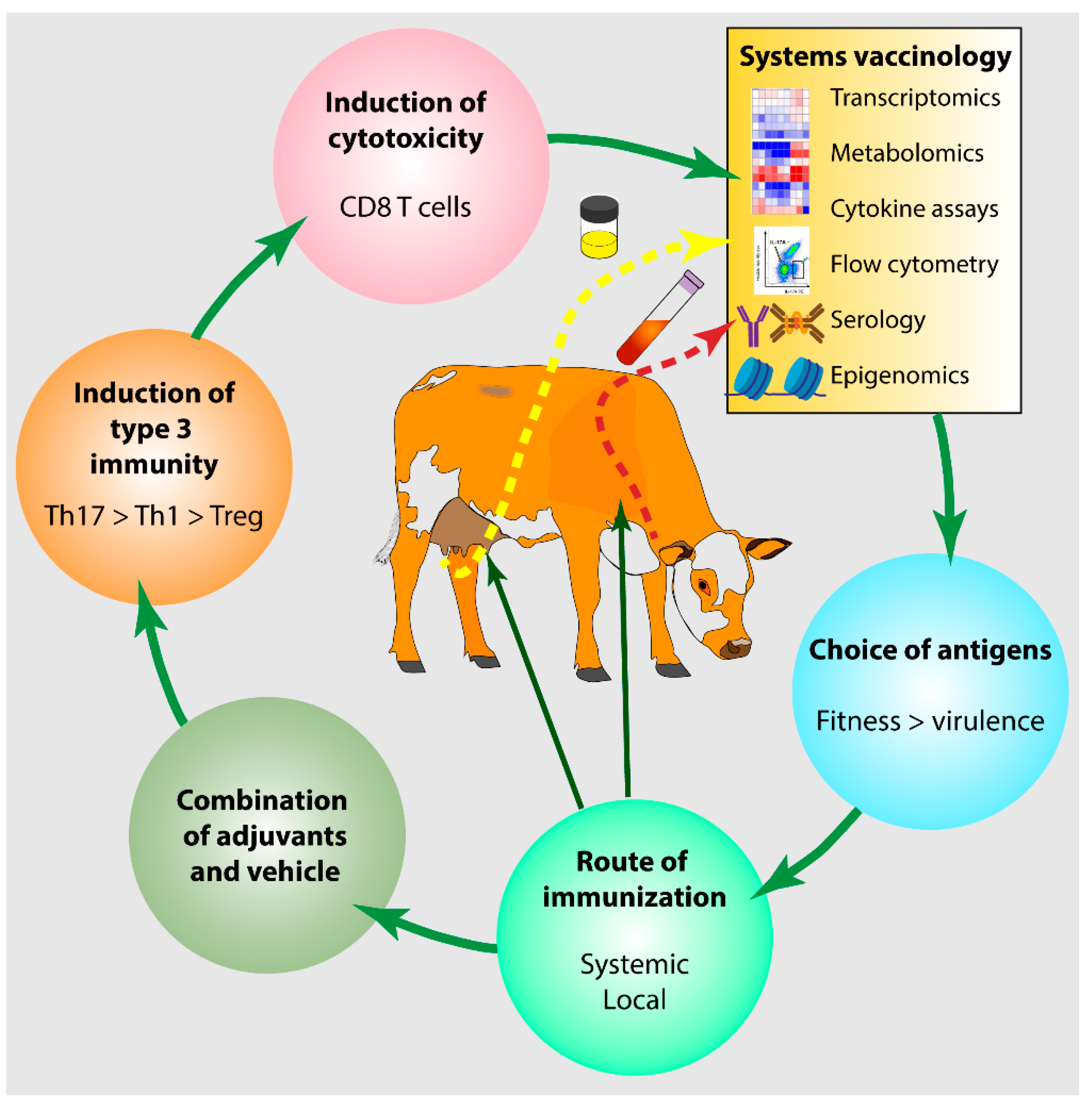 Vaccines 10 00296 g003 Vaccines 10 00296 g003